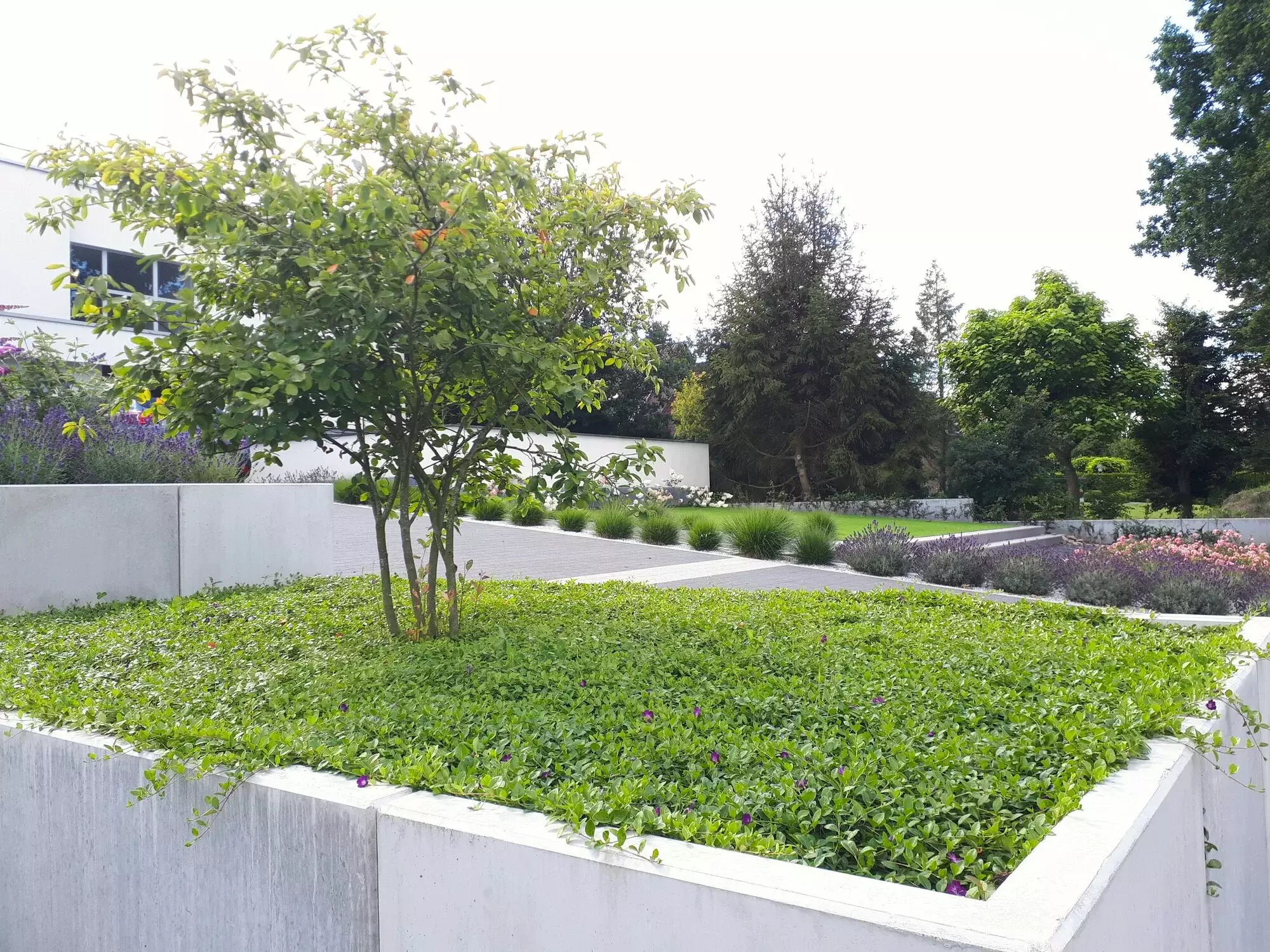 Tuinprojecten Meers – foto 2