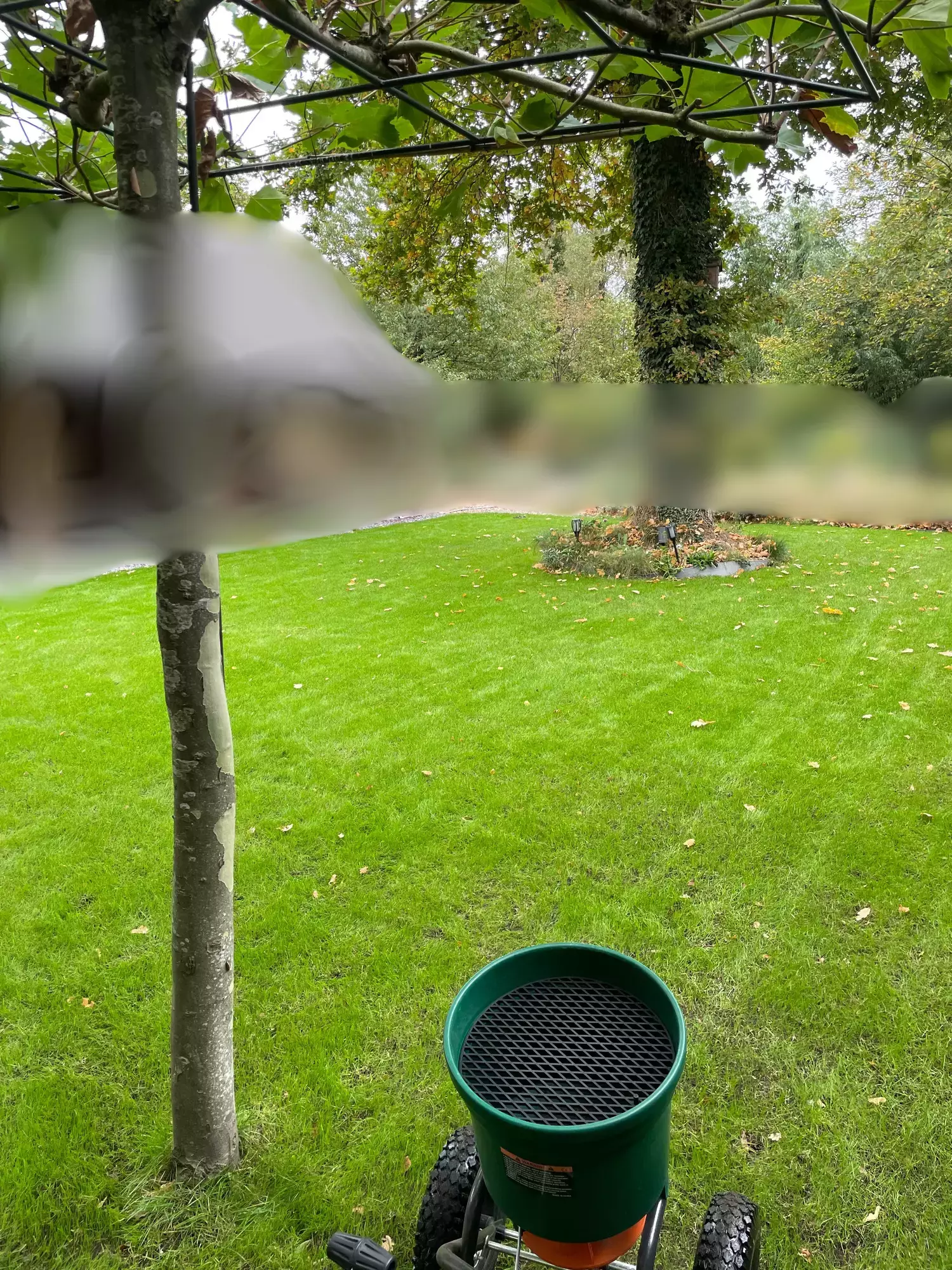 Aanplanting bomen – foto 2