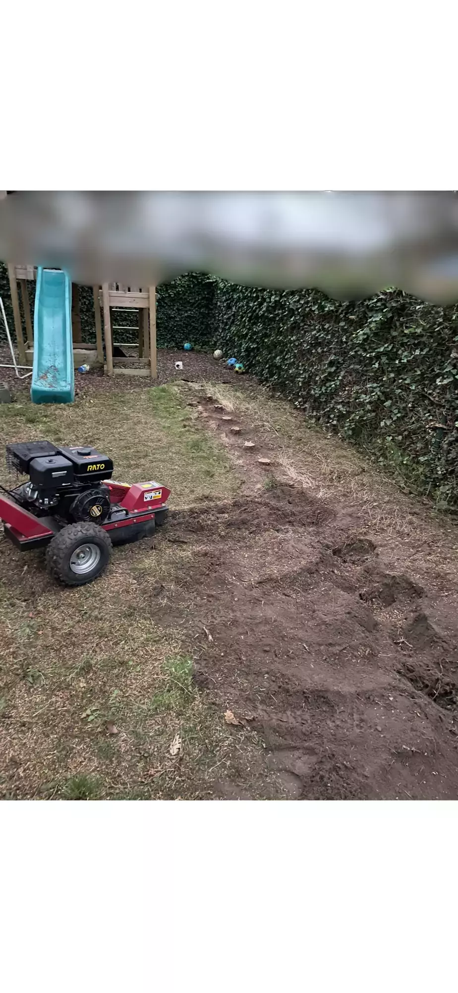 Aanplanting bomen – foto 3