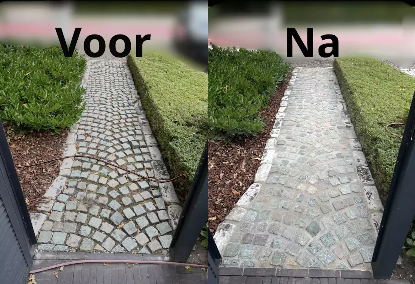 Aanplanting bomen – foto 4