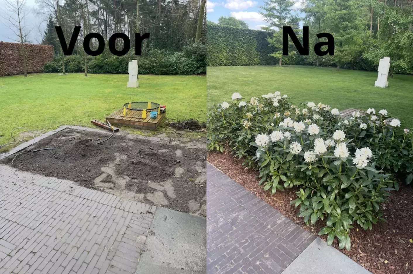 Aanplanting bomen – foto 5