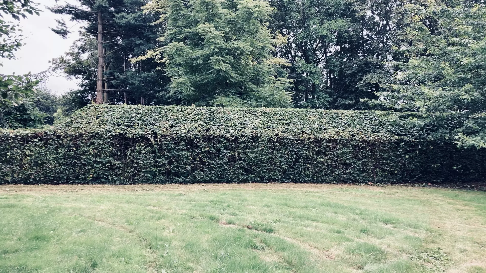 Project 1 – foto 2