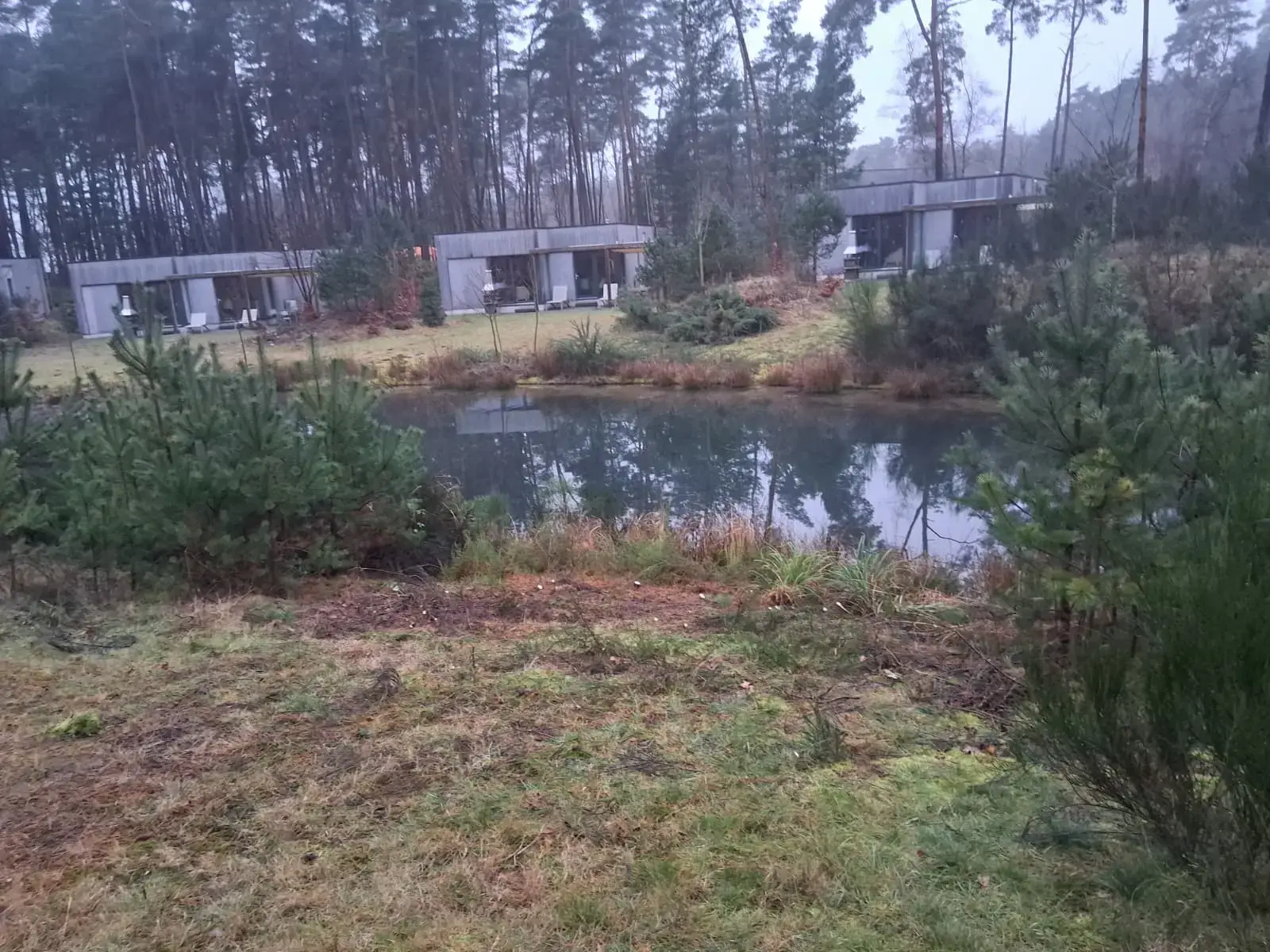 Verwijderen van wildgroei (na)