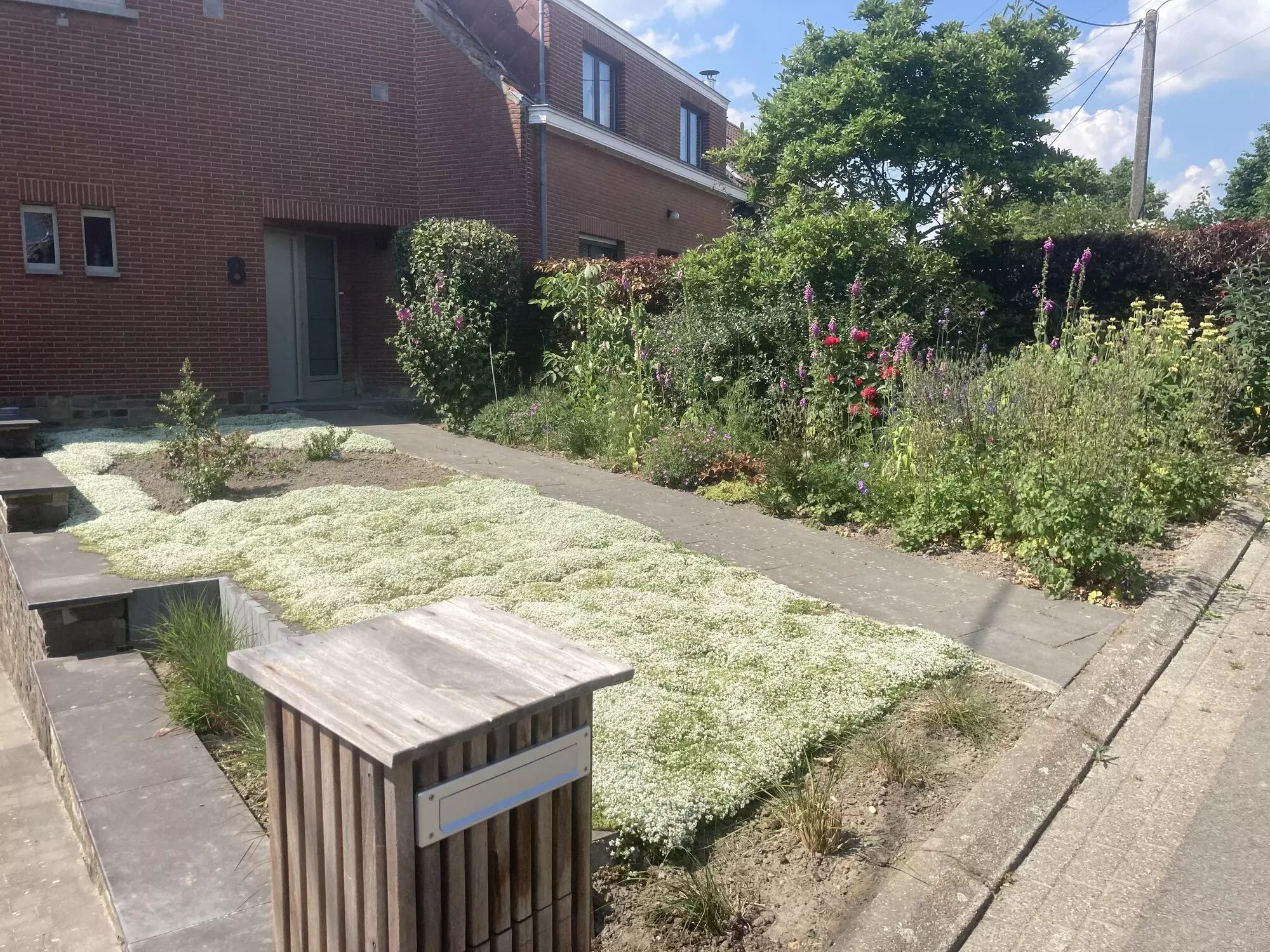Foto na aanplanting voortuin – foto 1