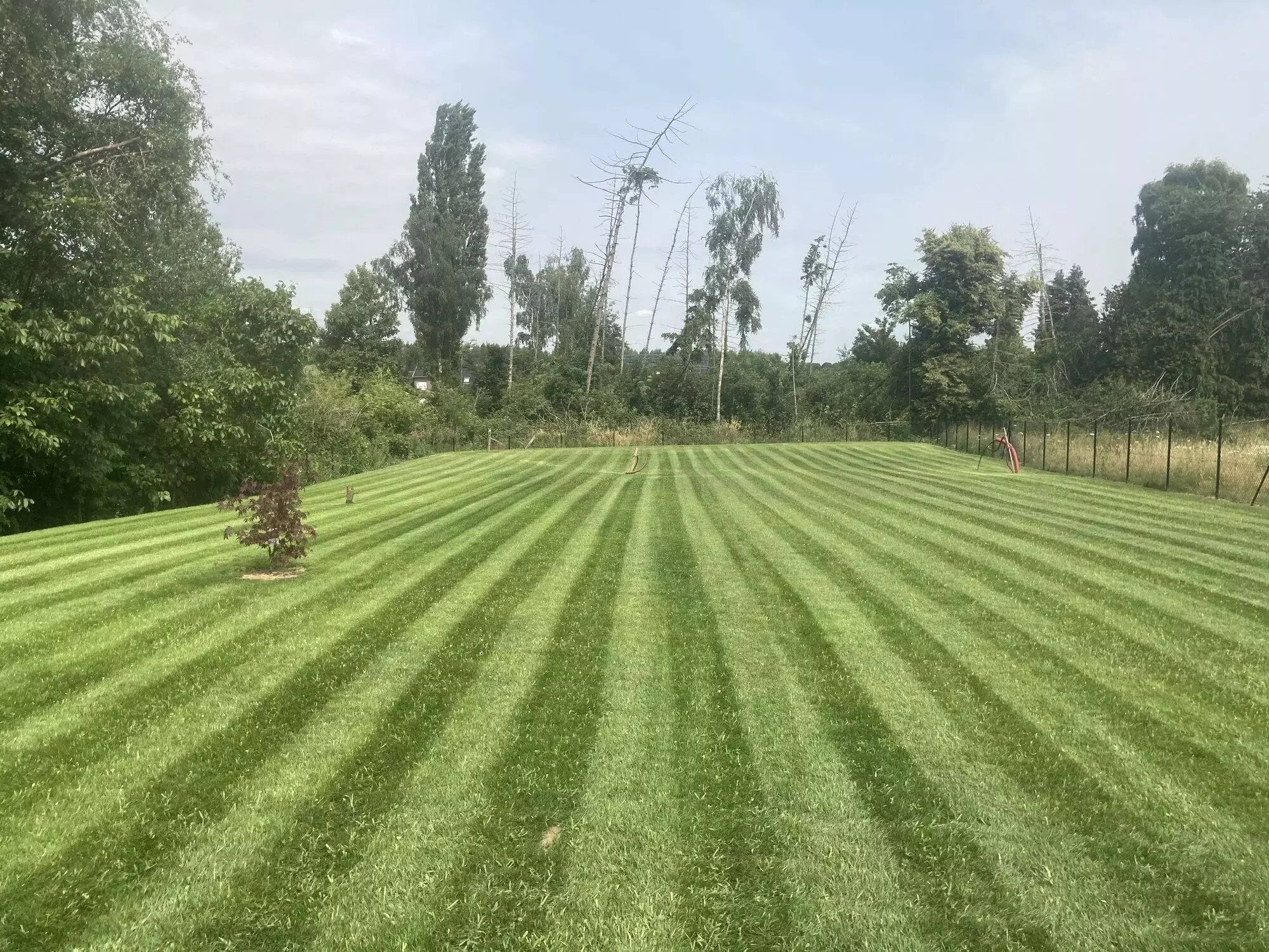 Foto na aanplanting voortuin – foto 2