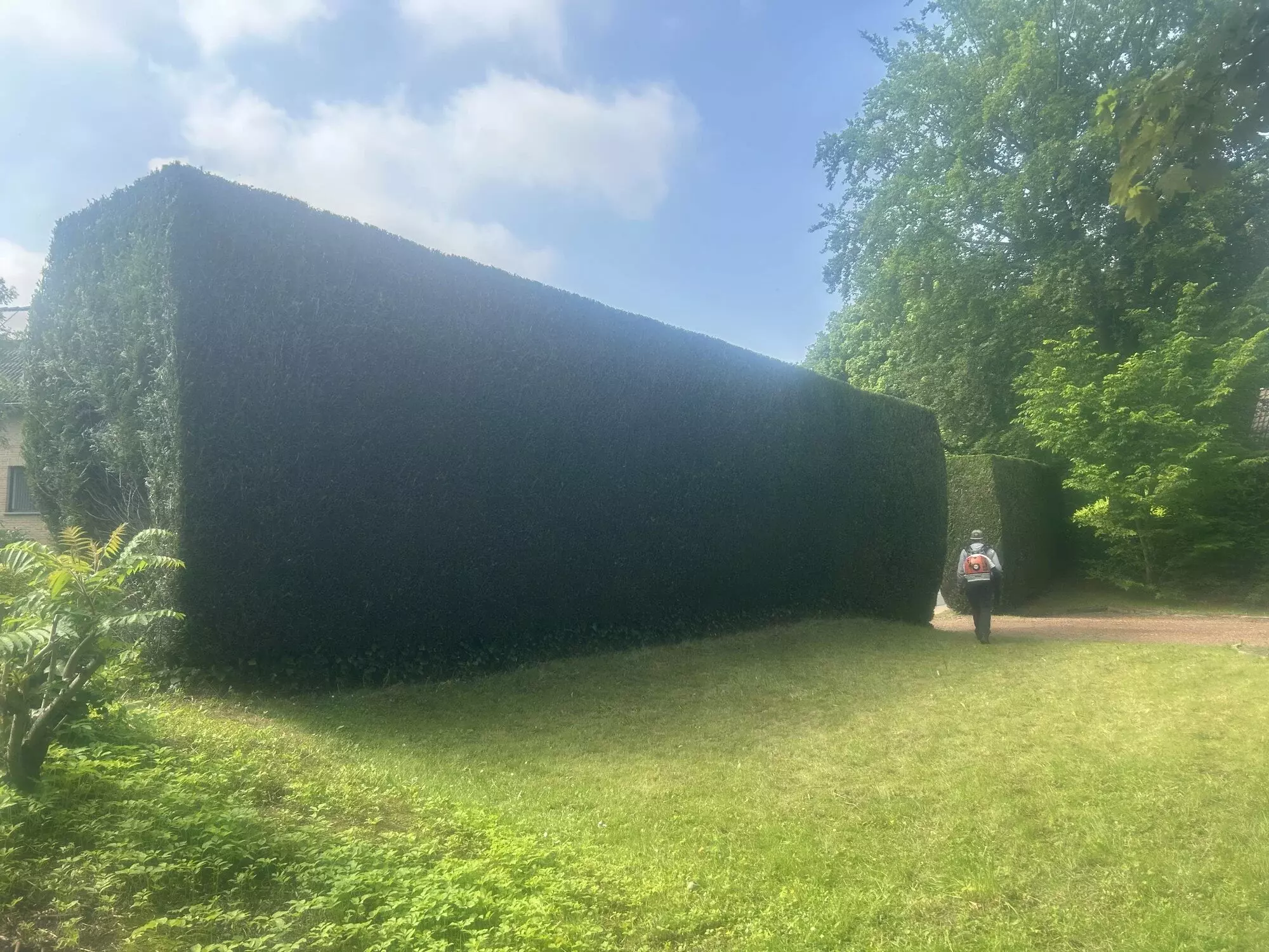 Foto na aanplanting voortuin – foto 3