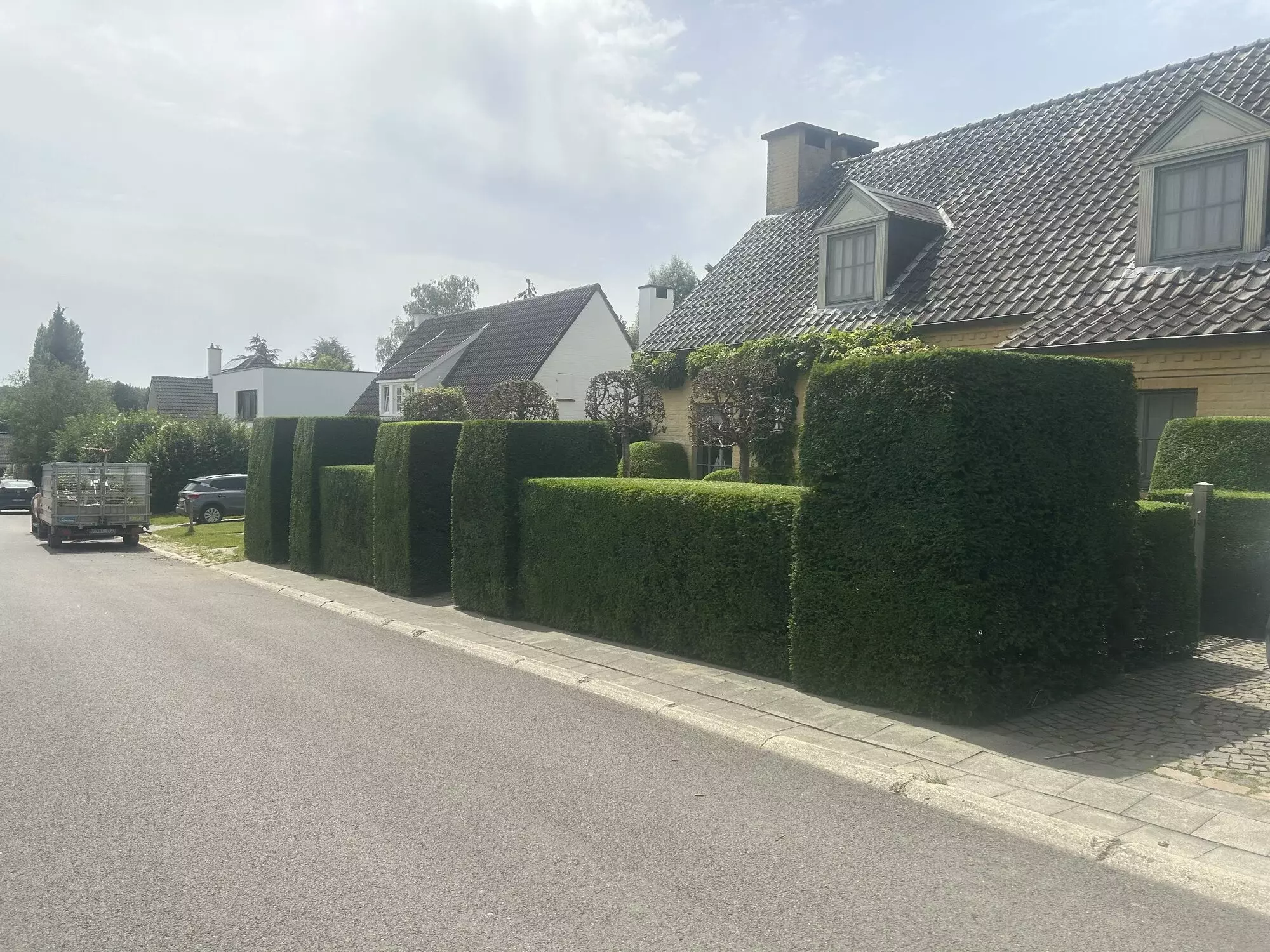 Foto na aanplanting voortuin – foto 4