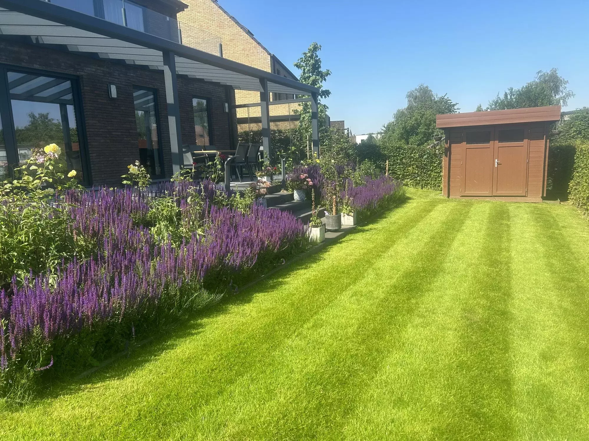 Foto na aanplanting voortuin – foto 5