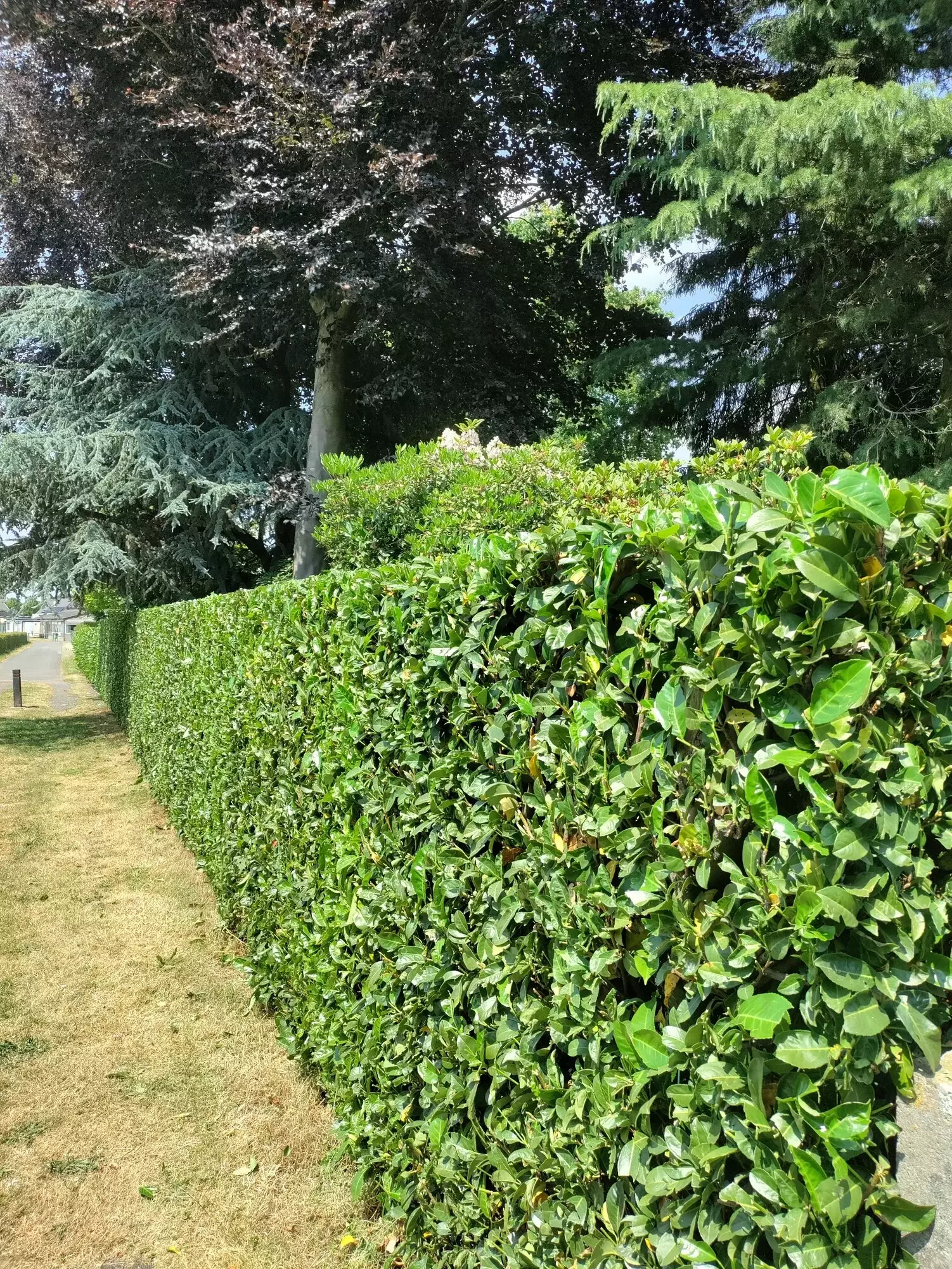 Tuinen Daan Jansegers – foto 3