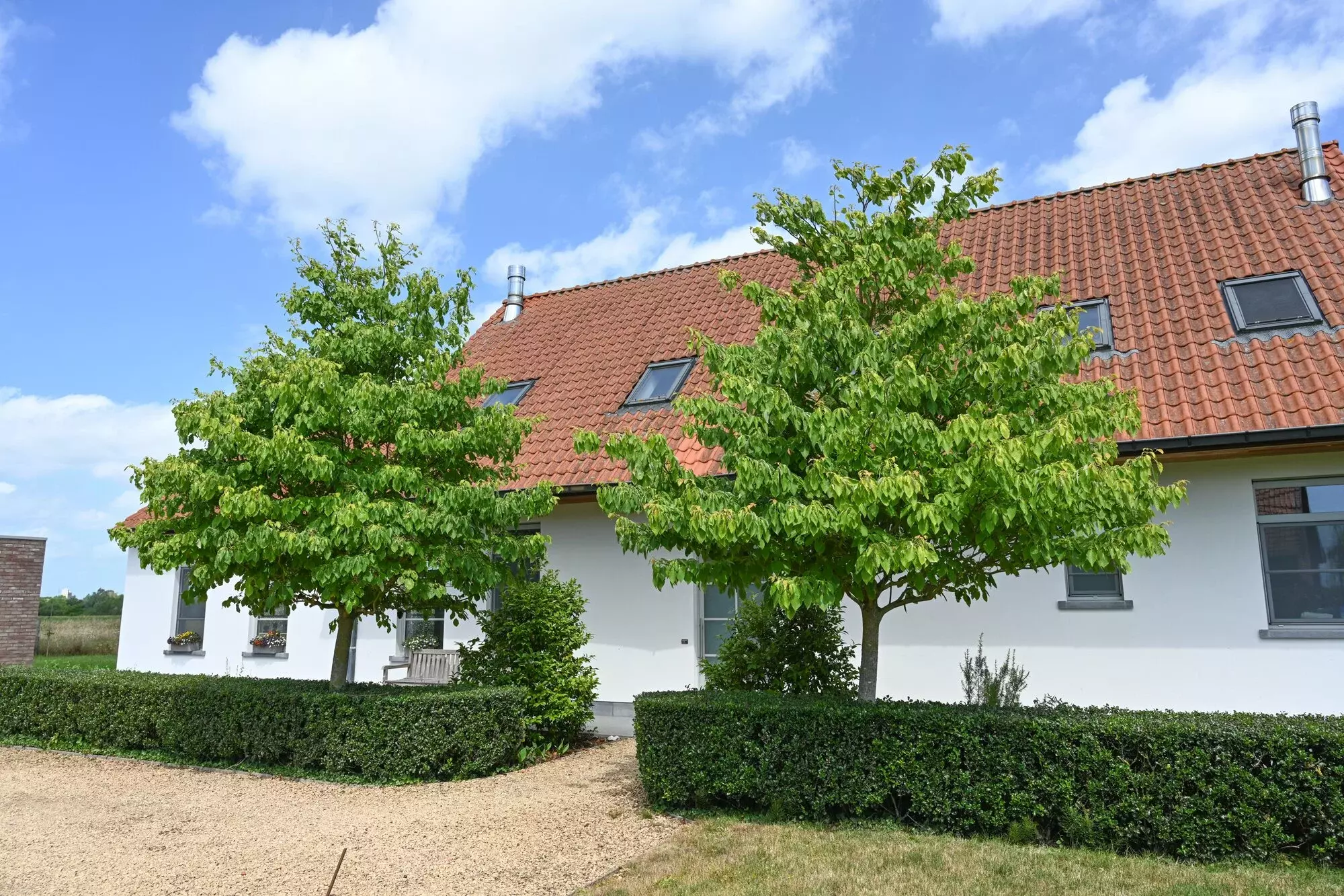 Strakke, moderne tuin met minimalistische beplanting en architecturale elementen