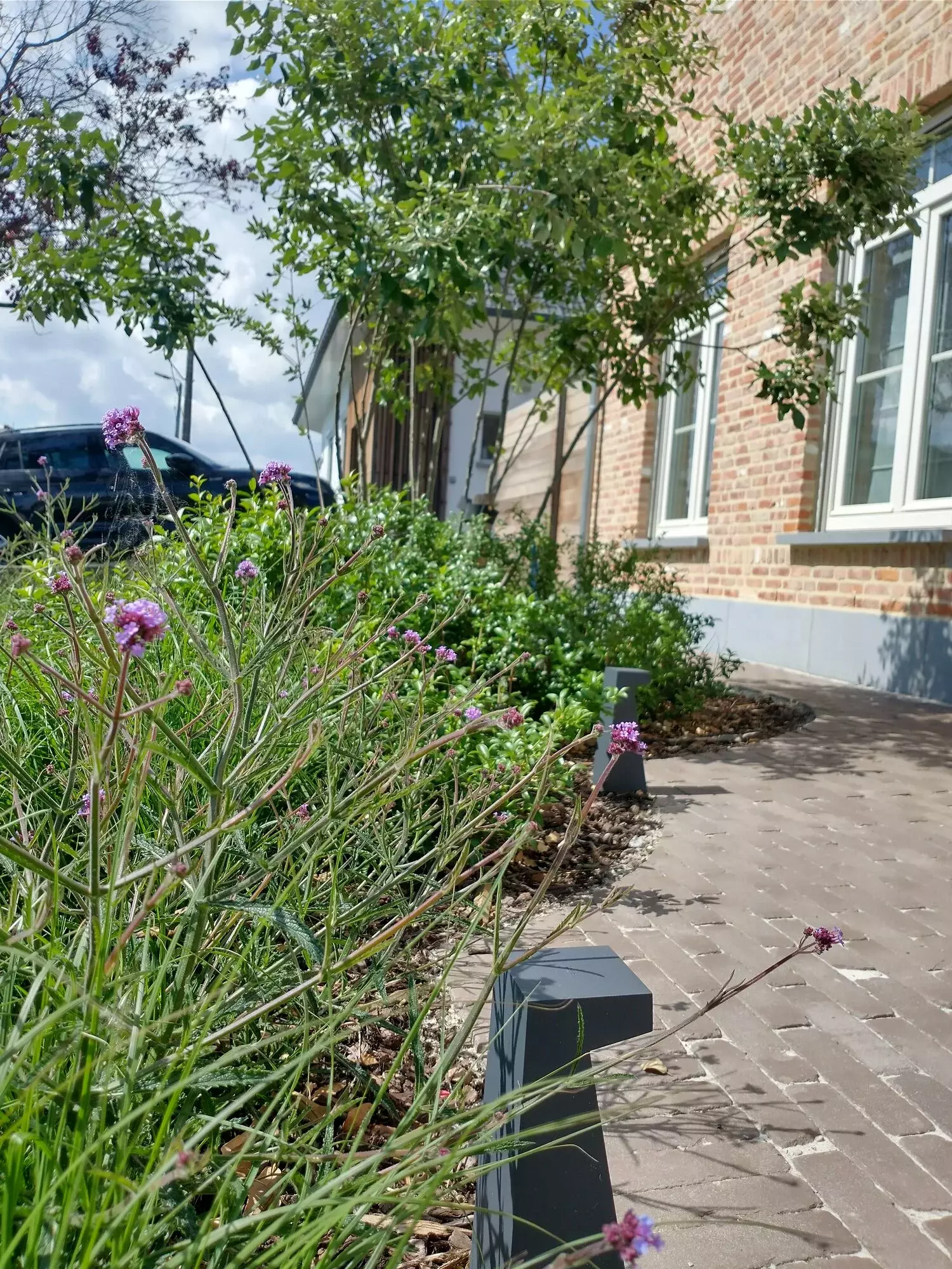 Waterspiegel, stapstenen, houten terras – foto 3