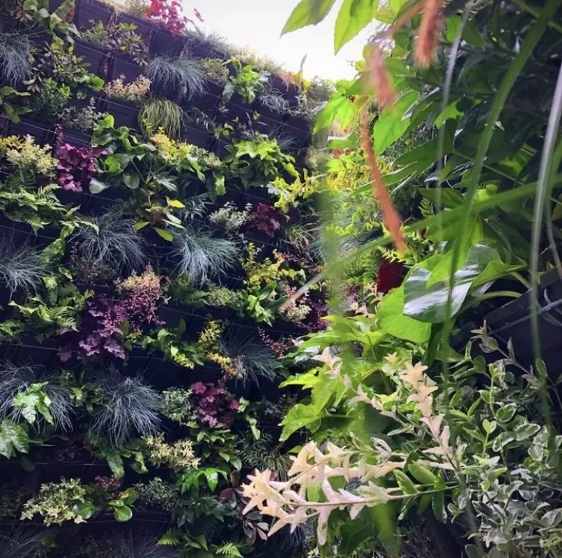 Cortenstaalbakken op maat gemaakt met aanplanting – foto 1