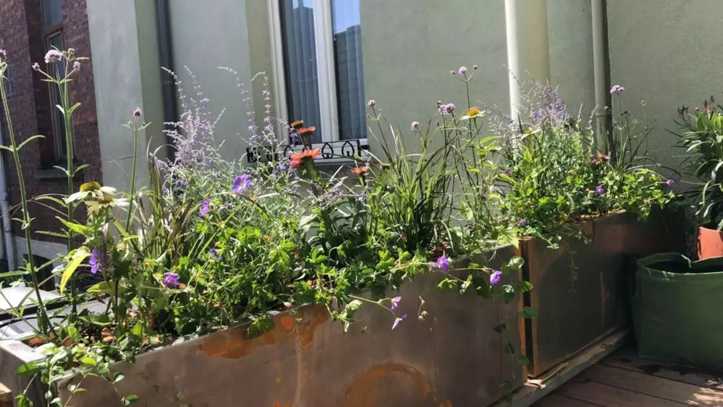 Cortenstaalbakken op maat gemaakt met aanplanting – foto 2