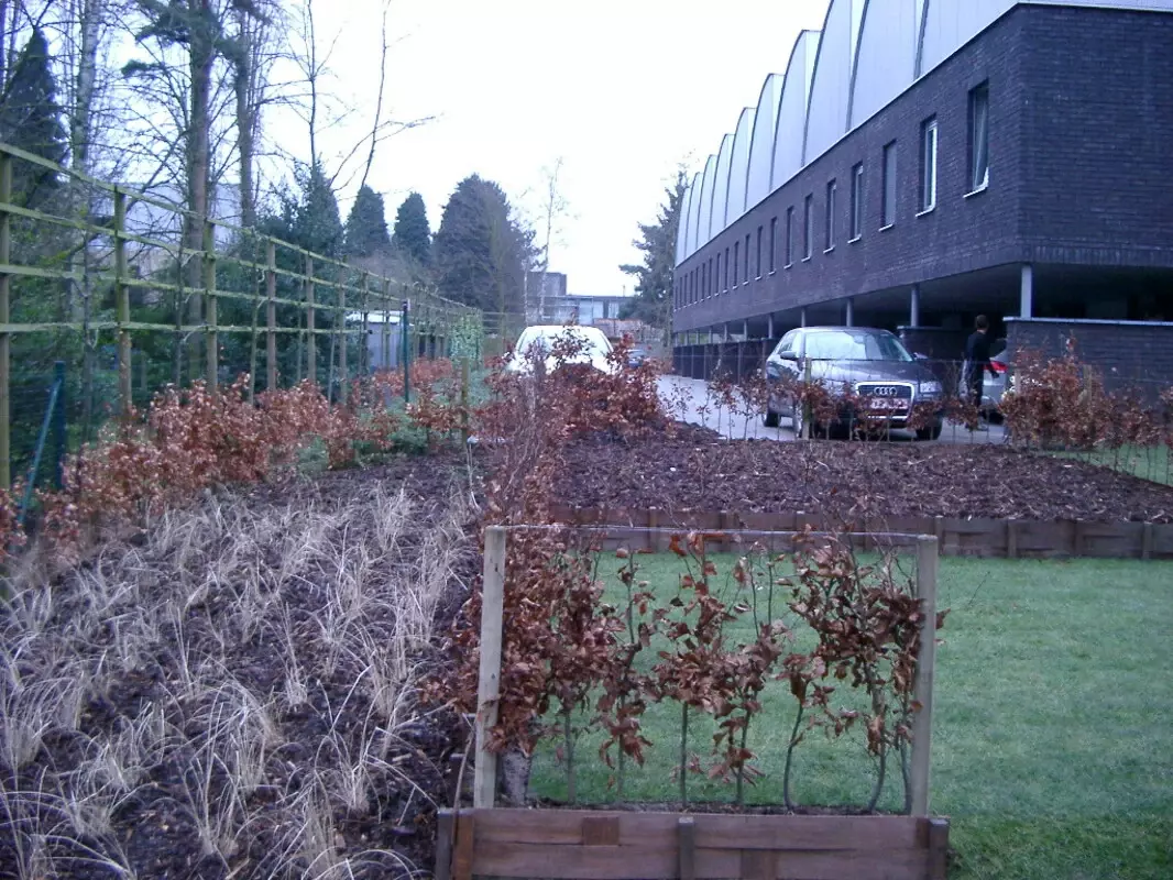 Xtra|vert tuin- en landschapsarchitectuur – foto 1