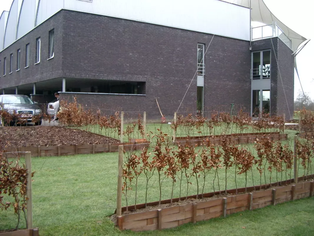 Xtra|vert tuin- en landschapsarchitectuur – foto 2
