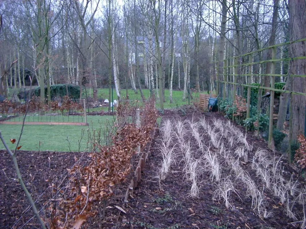 Xtra|vert tuin- en landschapsarchitectuur – foto 3