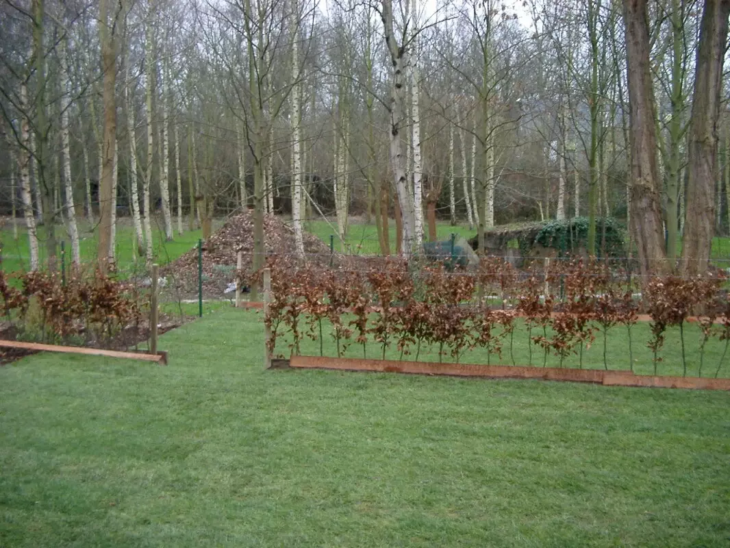 Xtra|vert tuin- en landschapsarchitectuur – foto 4