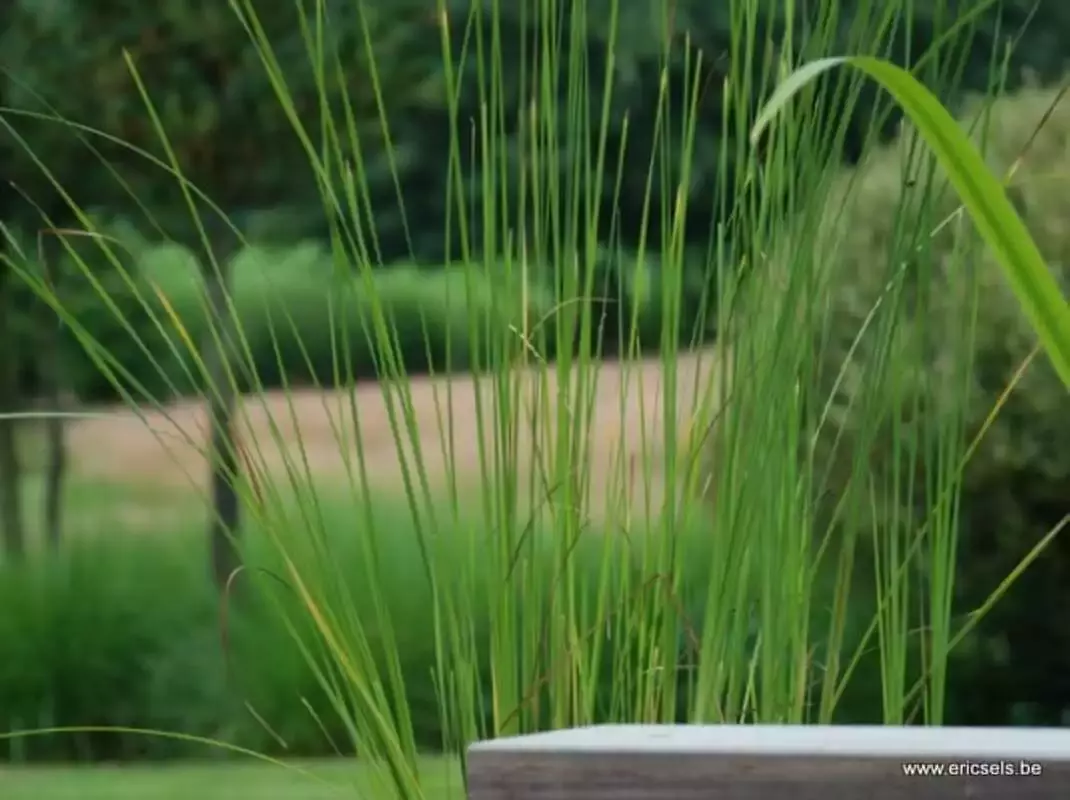 Eric Sels Tuinarchitectuur