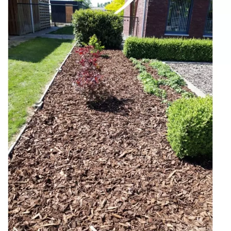 Aanpassing voortuin met vernieuwing beplanting – foto 2