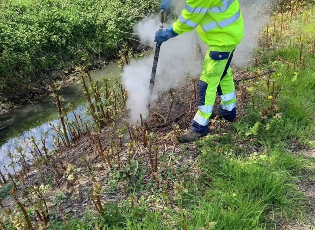 Onkruidbeheer en exotenbestrijding