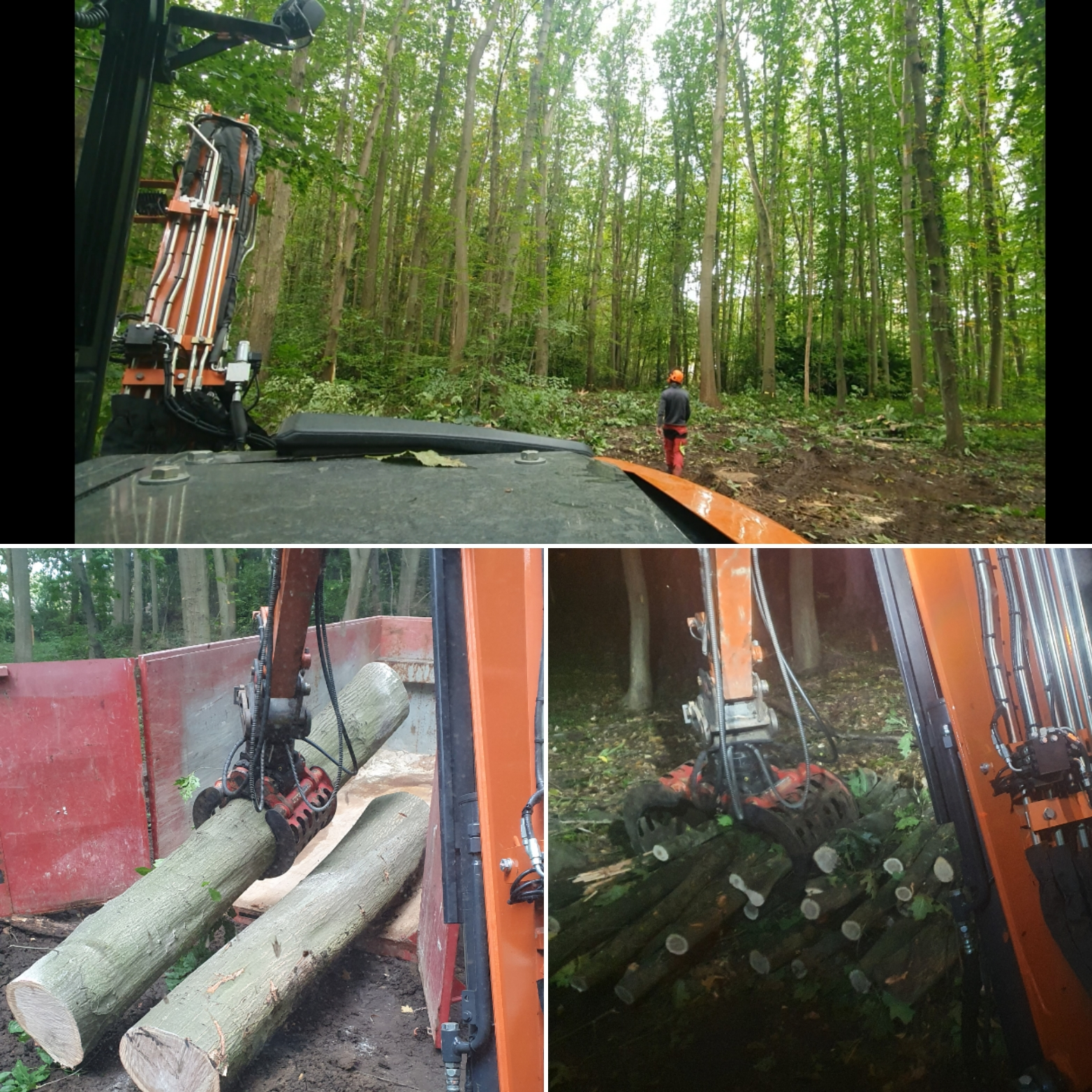 Project 2 – foto 4