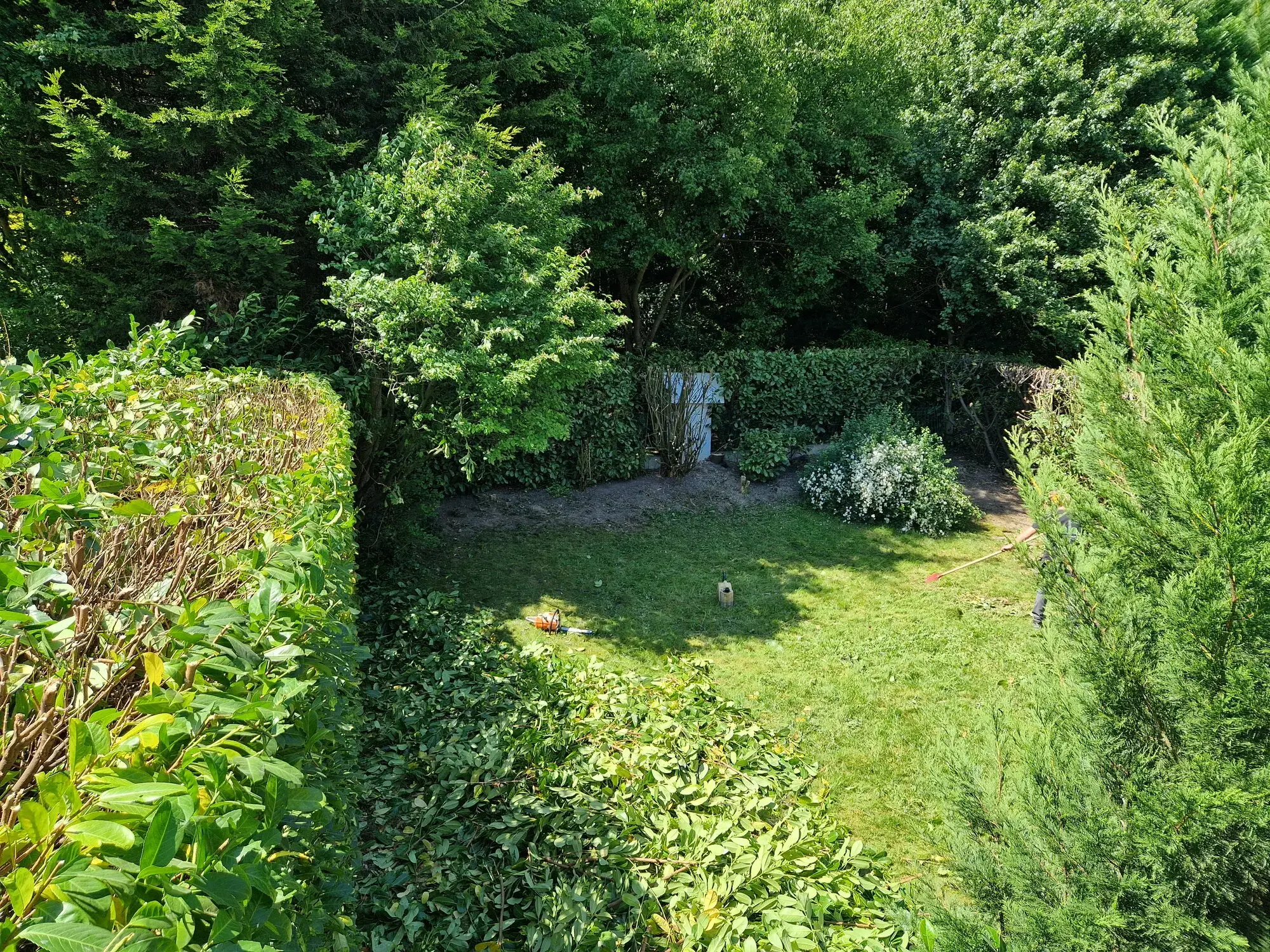 Overwoekerd gazon - voor – foto 5