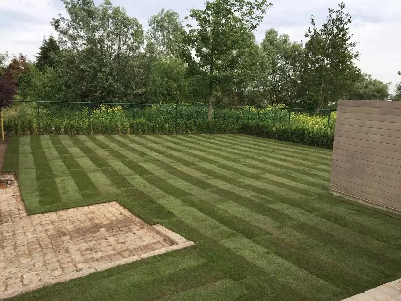 Aanleg terras in keramische tegel 90/90 met integratie plantenborder. – foto 5