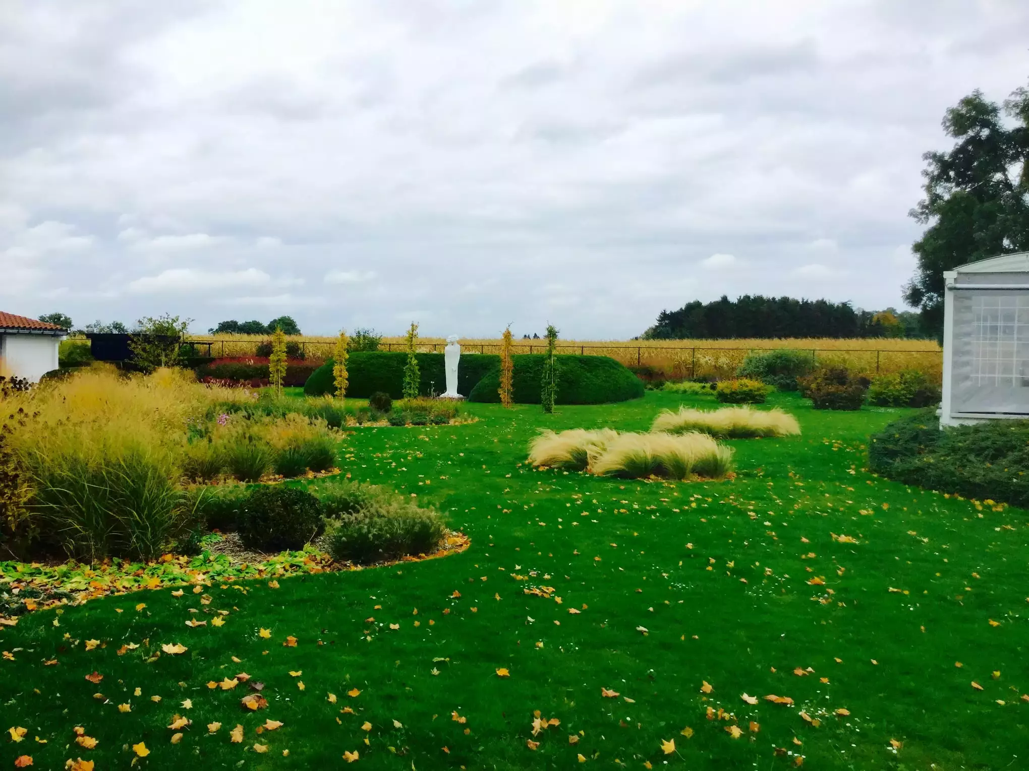 Creatief tuinontwerp met rechte zwemvijver – foto 4