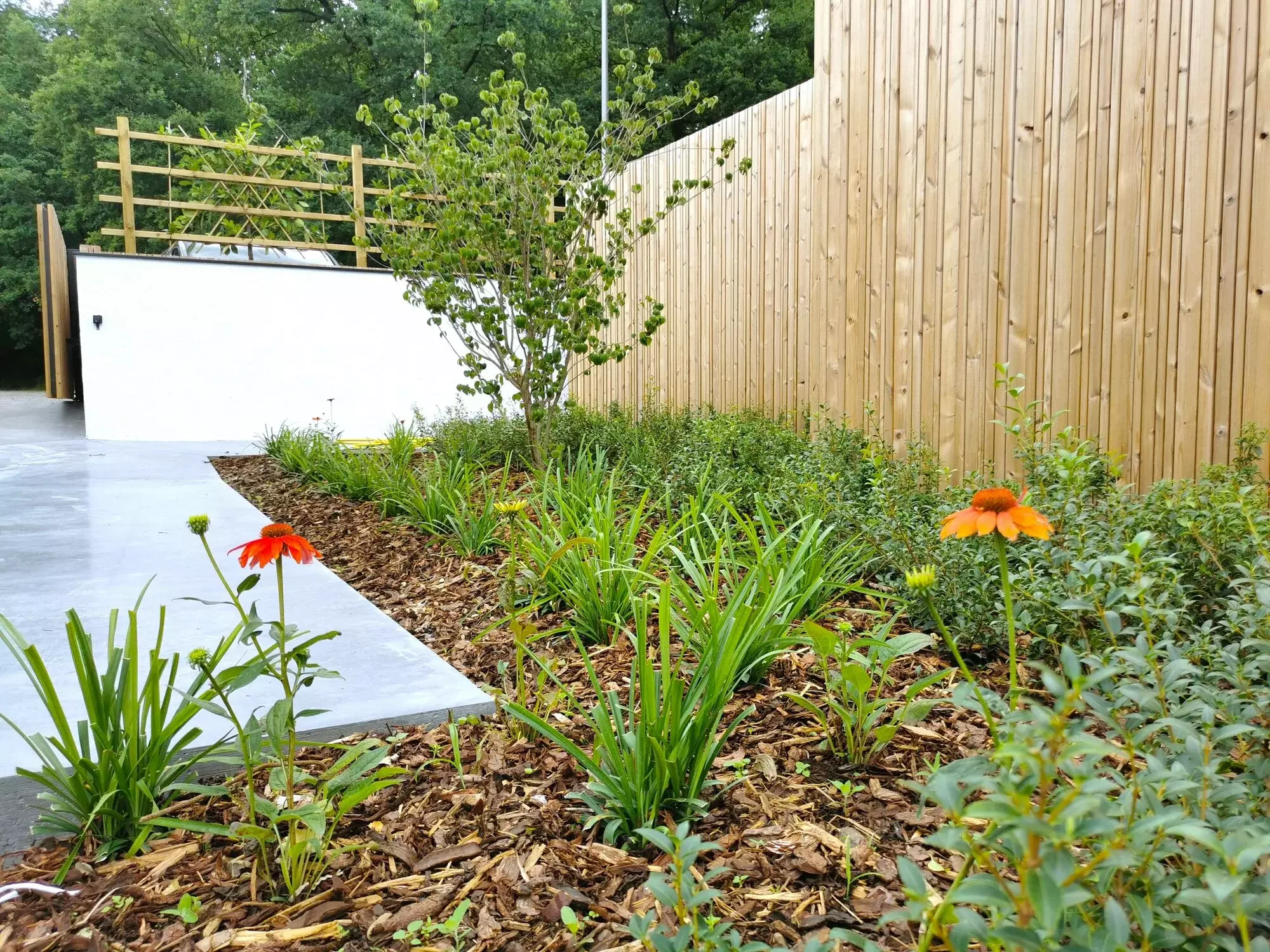 Tuinprojecten Meers – foto 2