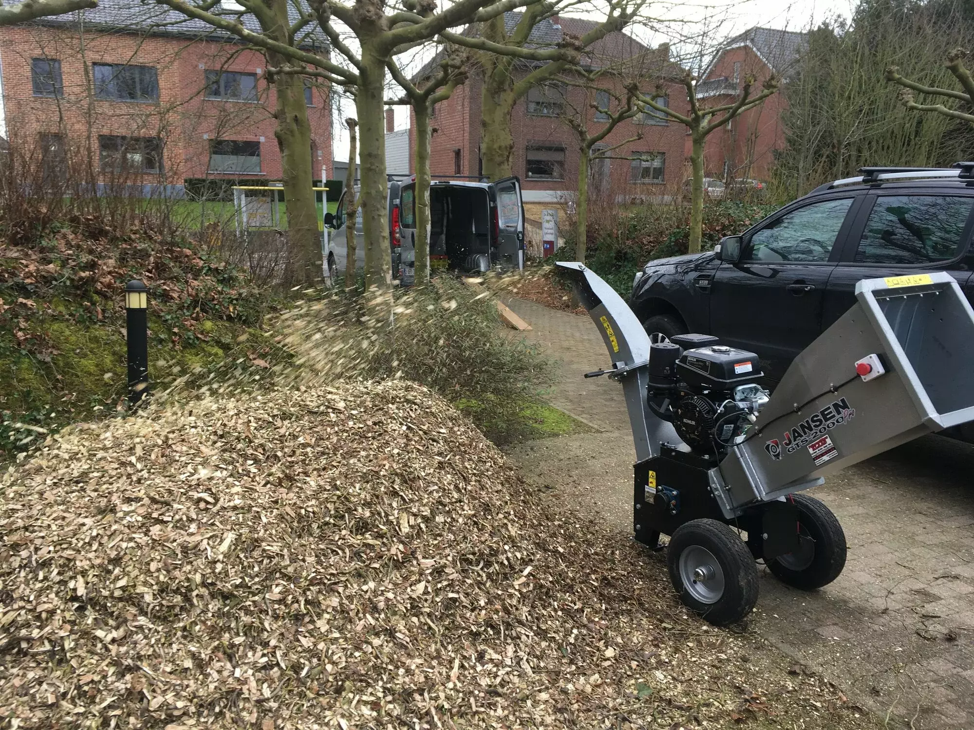 ArboDave Boomverzorging – foto 4