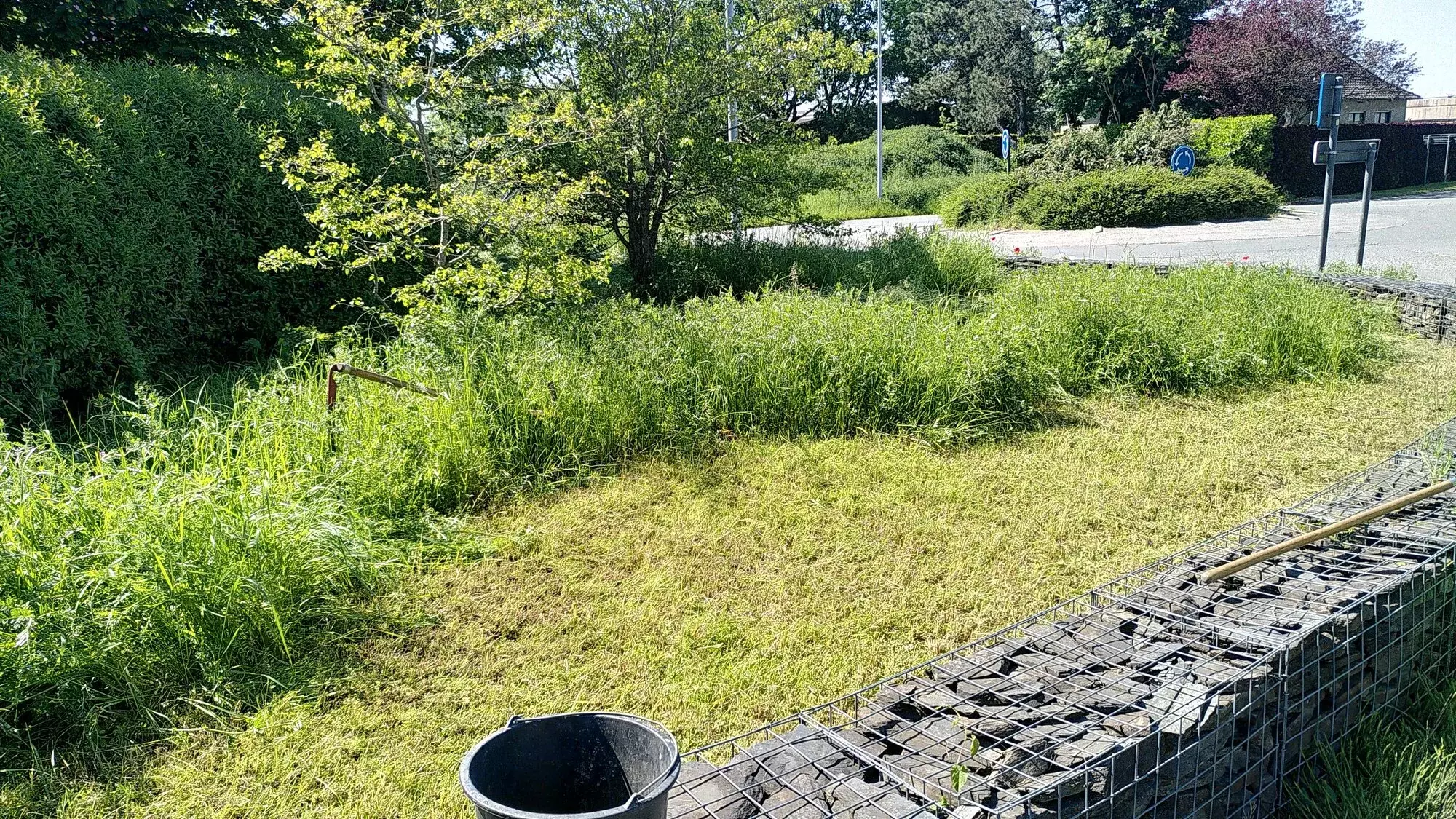 Alternatief omgaan met onkruid op een open verharding door het inzaaien met geschikte vegetatie – foto 4