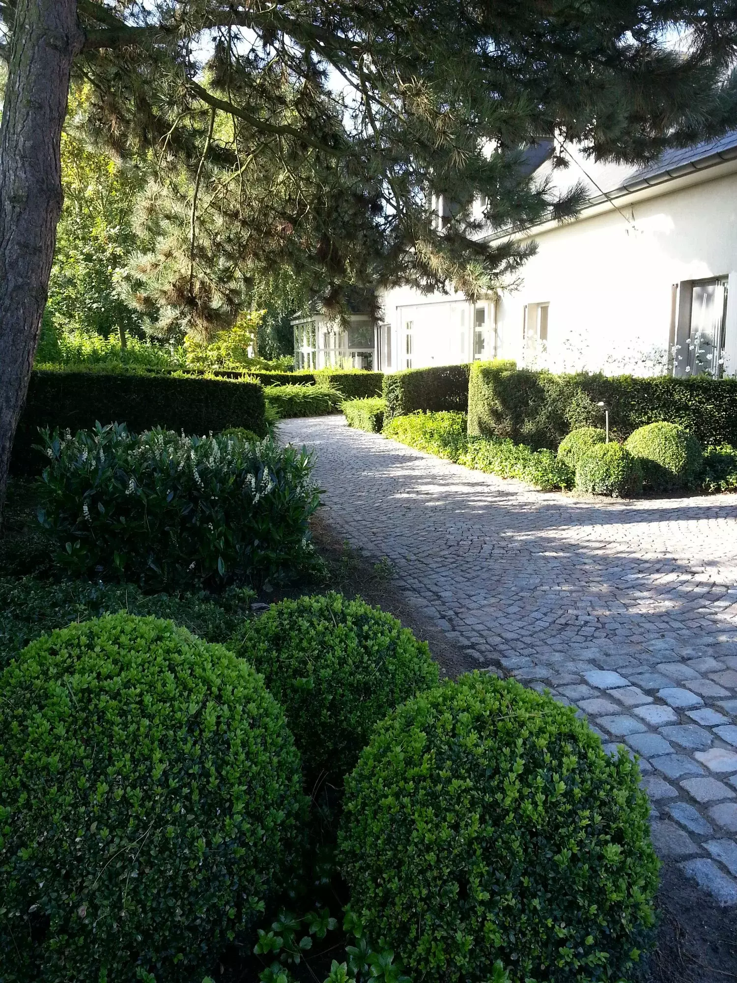Pad in mozaïkkaseien – foto 1