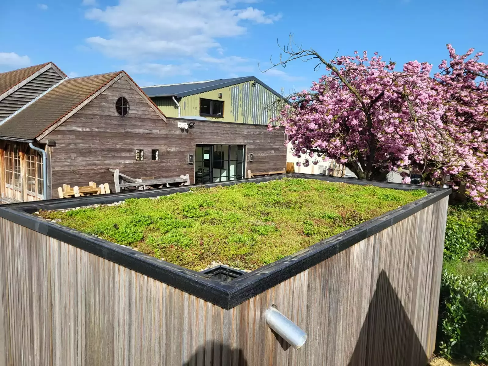 Vergroening op een veranda. Hierbij werd gekozen voor een afwerking van keien langs de rand. Dit geeft een esthetisch ef – foto 3