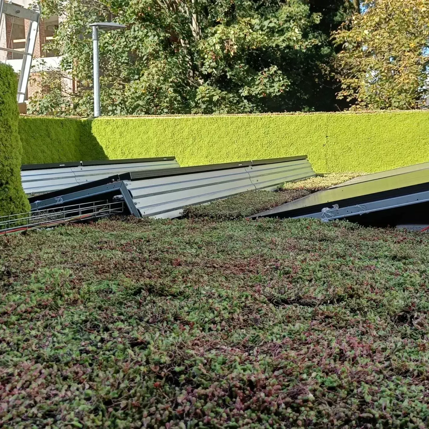 Vergroening op een veranda. Hierbij werd gekozen voor een afwerking van keien langs de rand. Dit geeft een esthetisch ef – foto 4