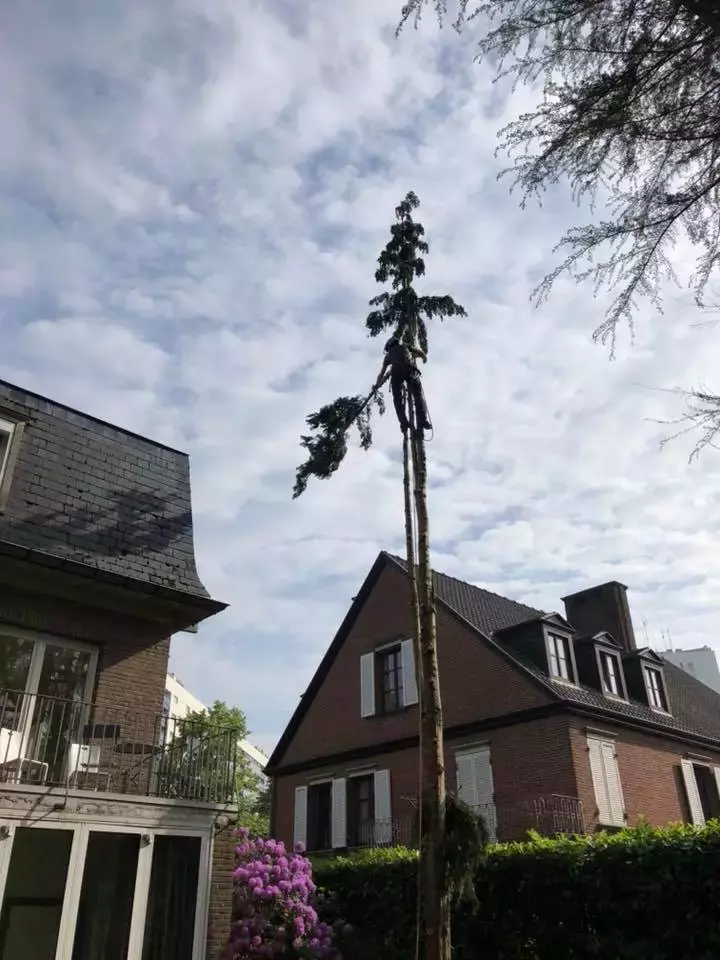 3D beeld voortuin – foto 3