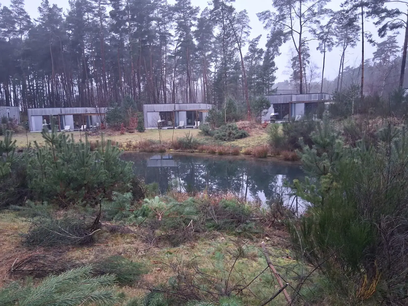 Opsnoeien van bomen (voor) – foto 5