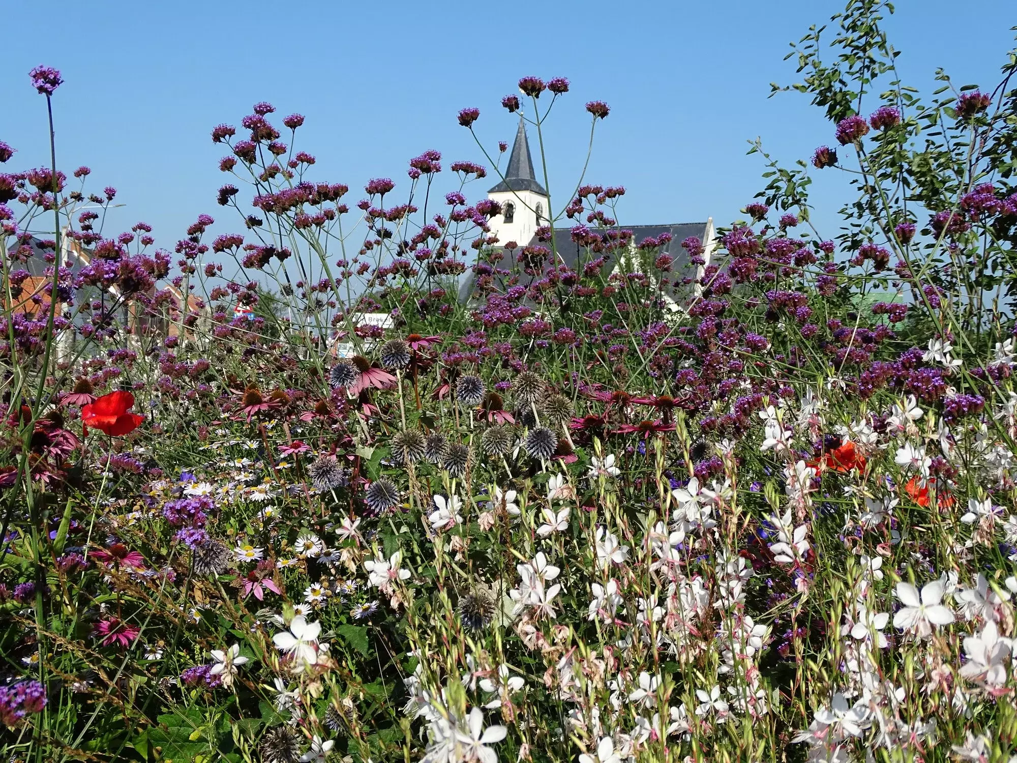 Tuinarchitectuur Ann Muyldermans – foto 1