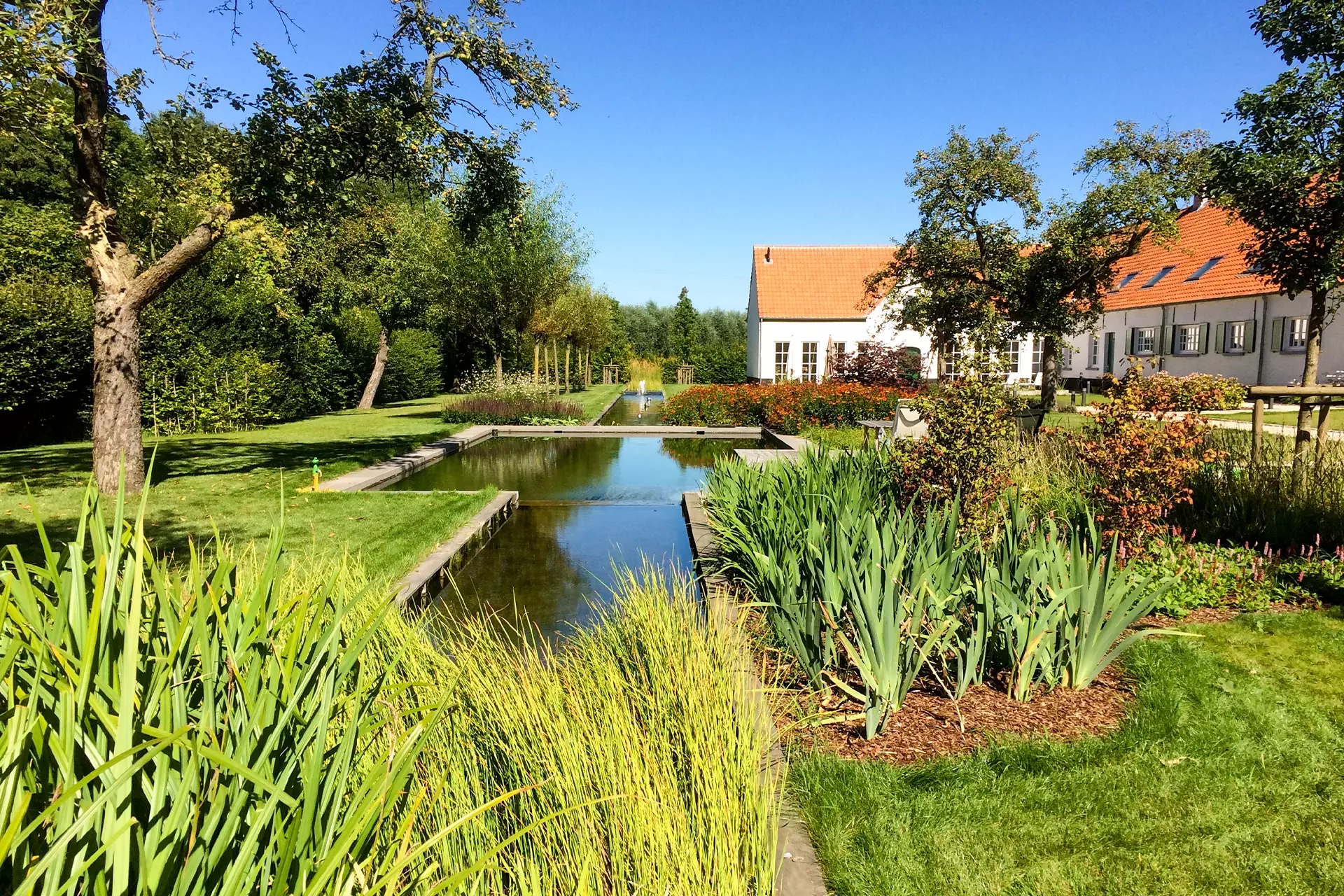 Modern tuinterras met siergrassen en verhardingen door Alle Tuinwerken Bart Janssen in Oudsbergen – foto 3