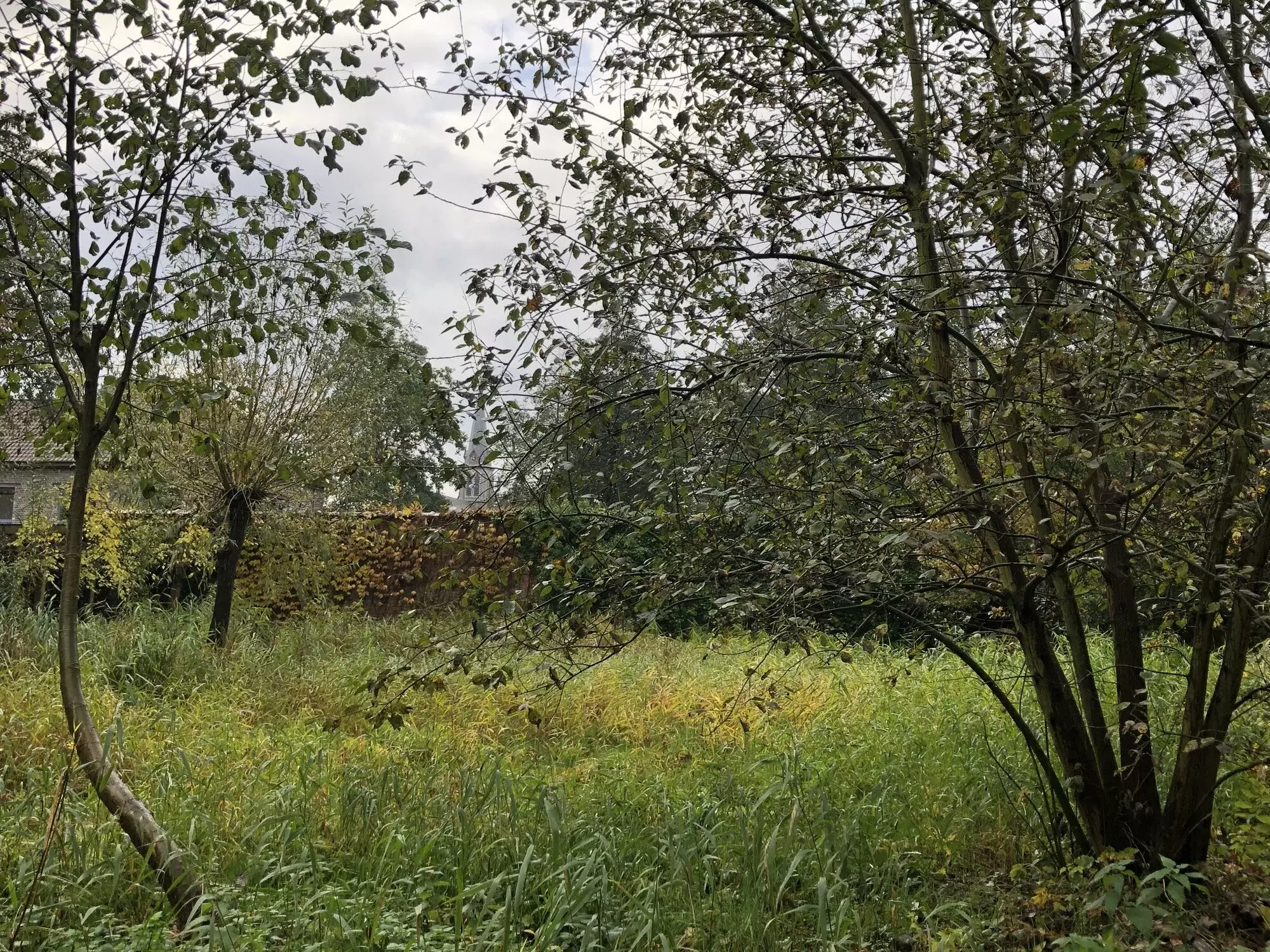 Ecologisch beheerde boomgaard – foto 1