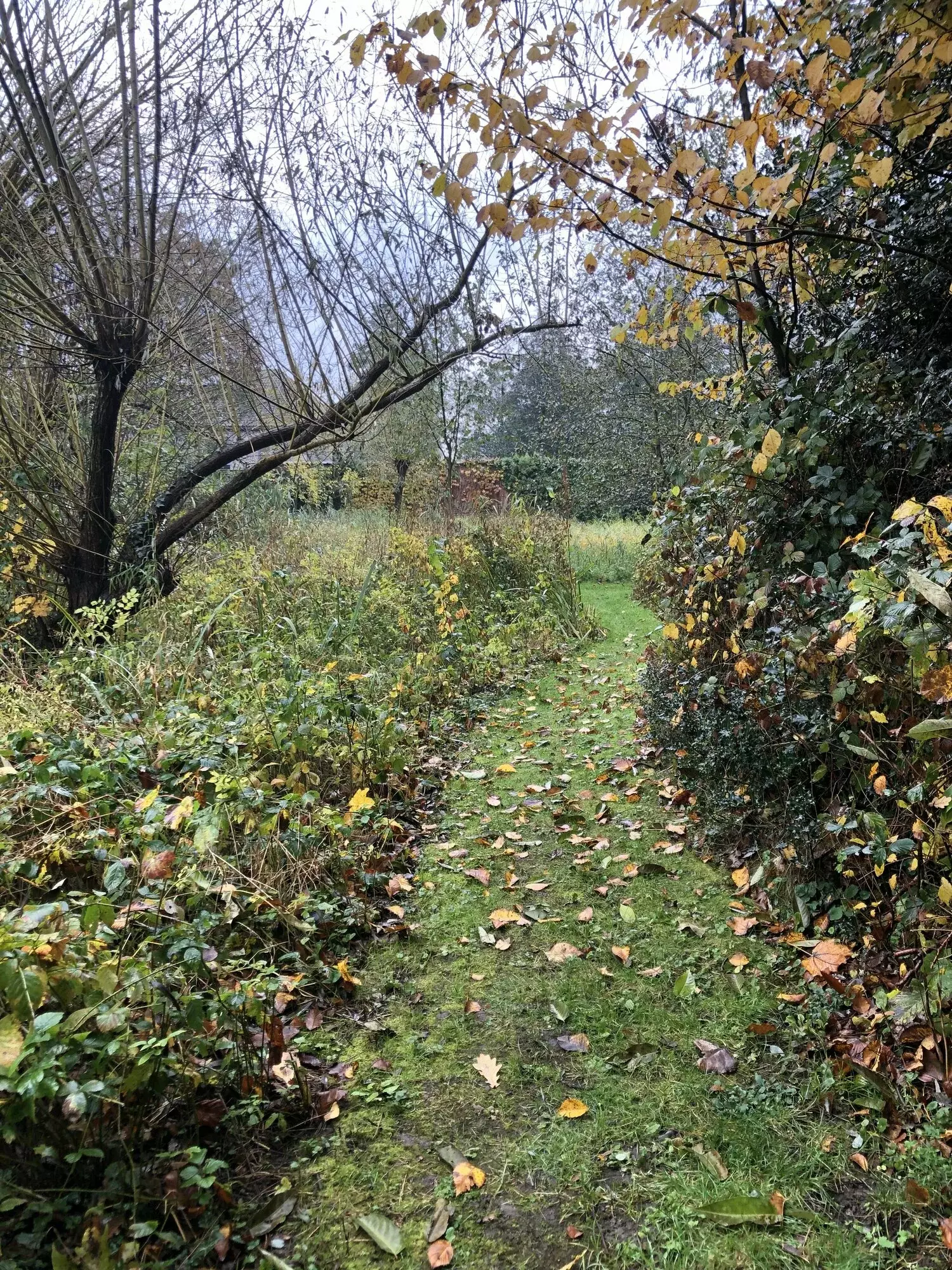 Ecologisch beheerde boomgaard – foto 2
