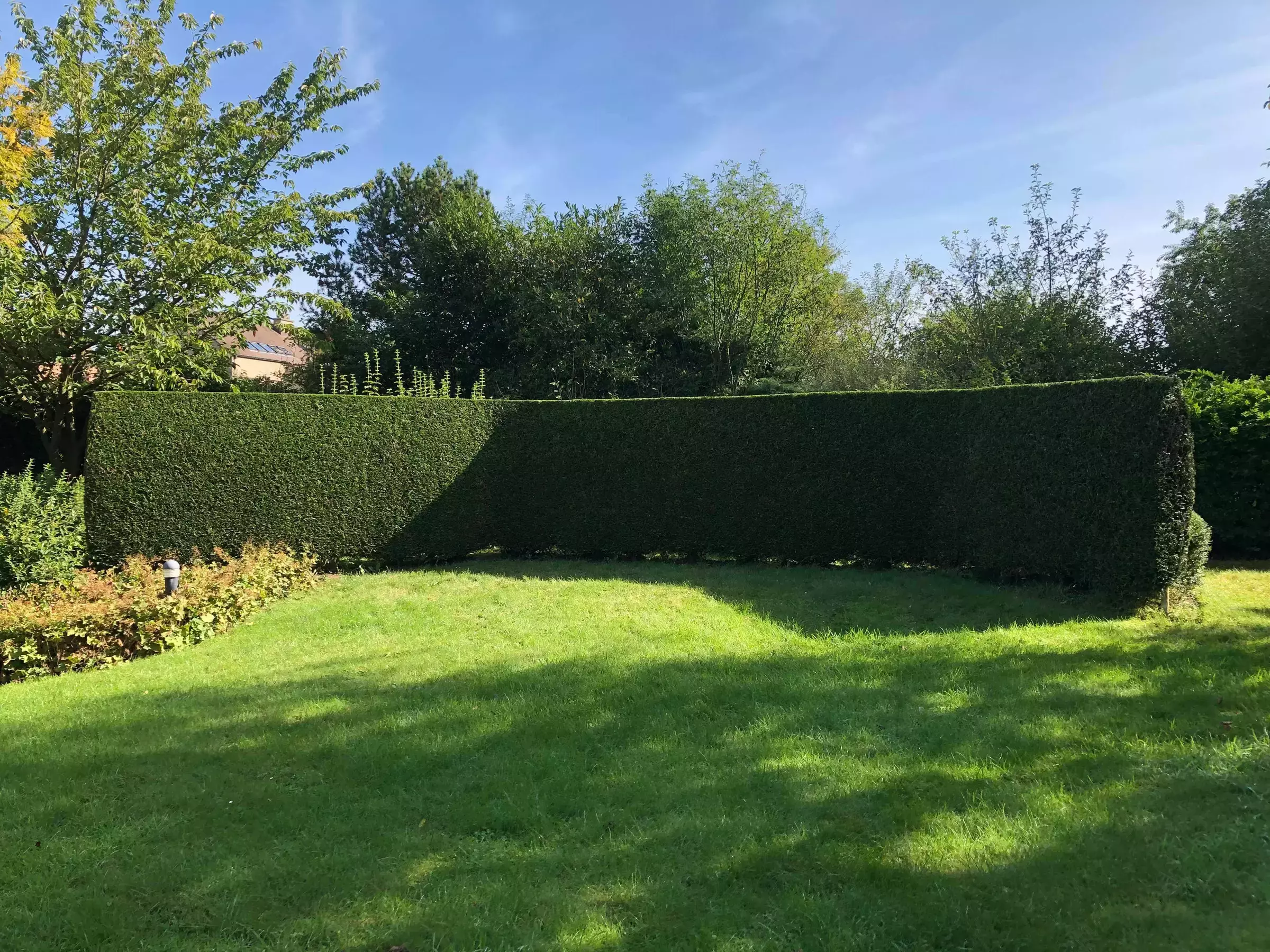 Snoeiwerken – foto 1