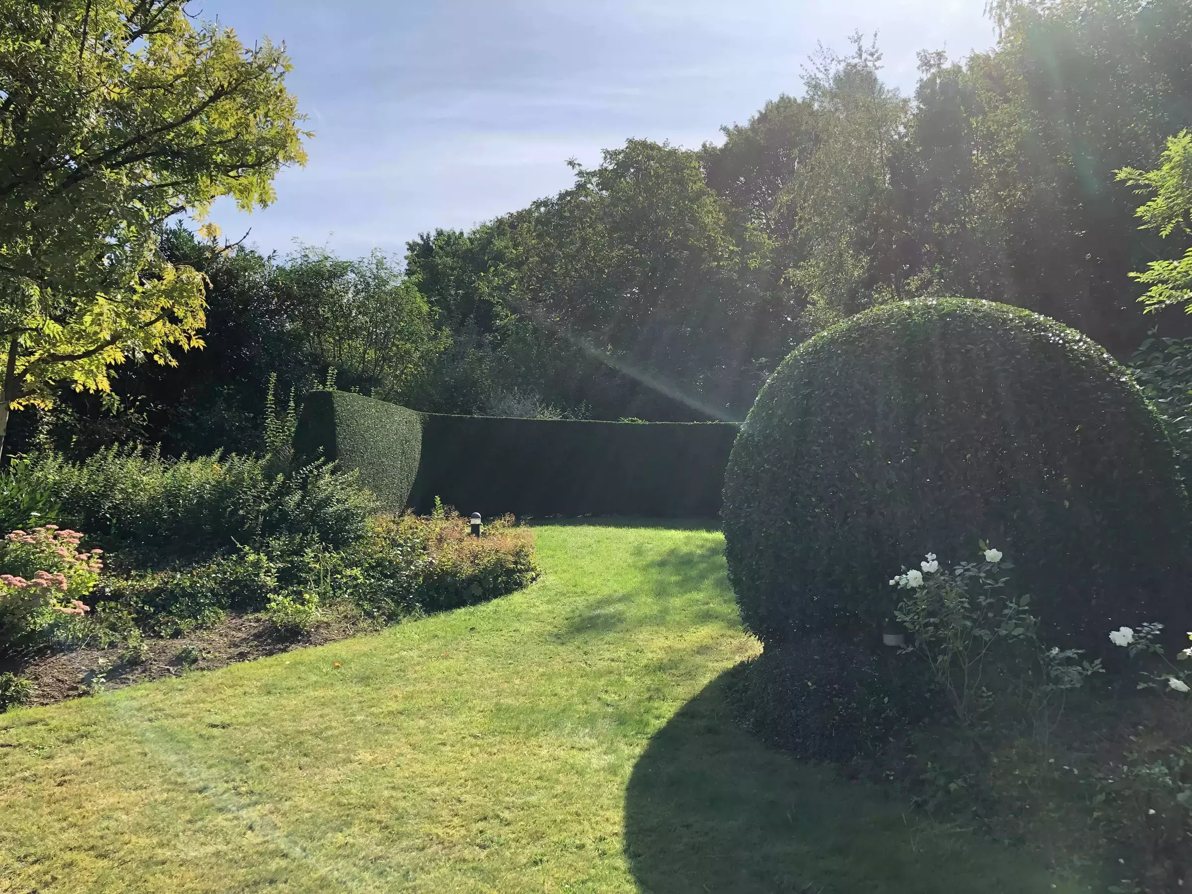 Snoeiwerken – foto 2