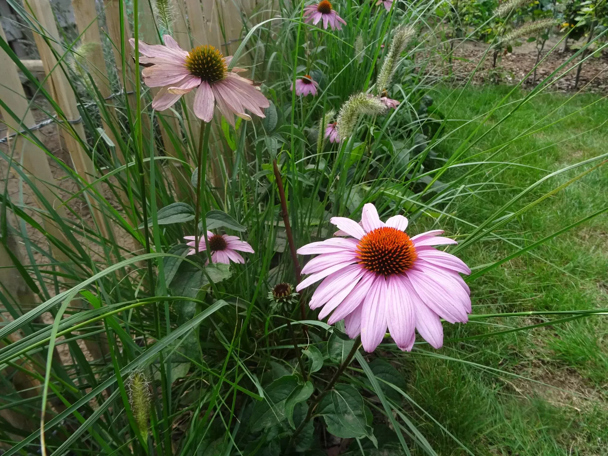 Julian's Garden Design – foto 1