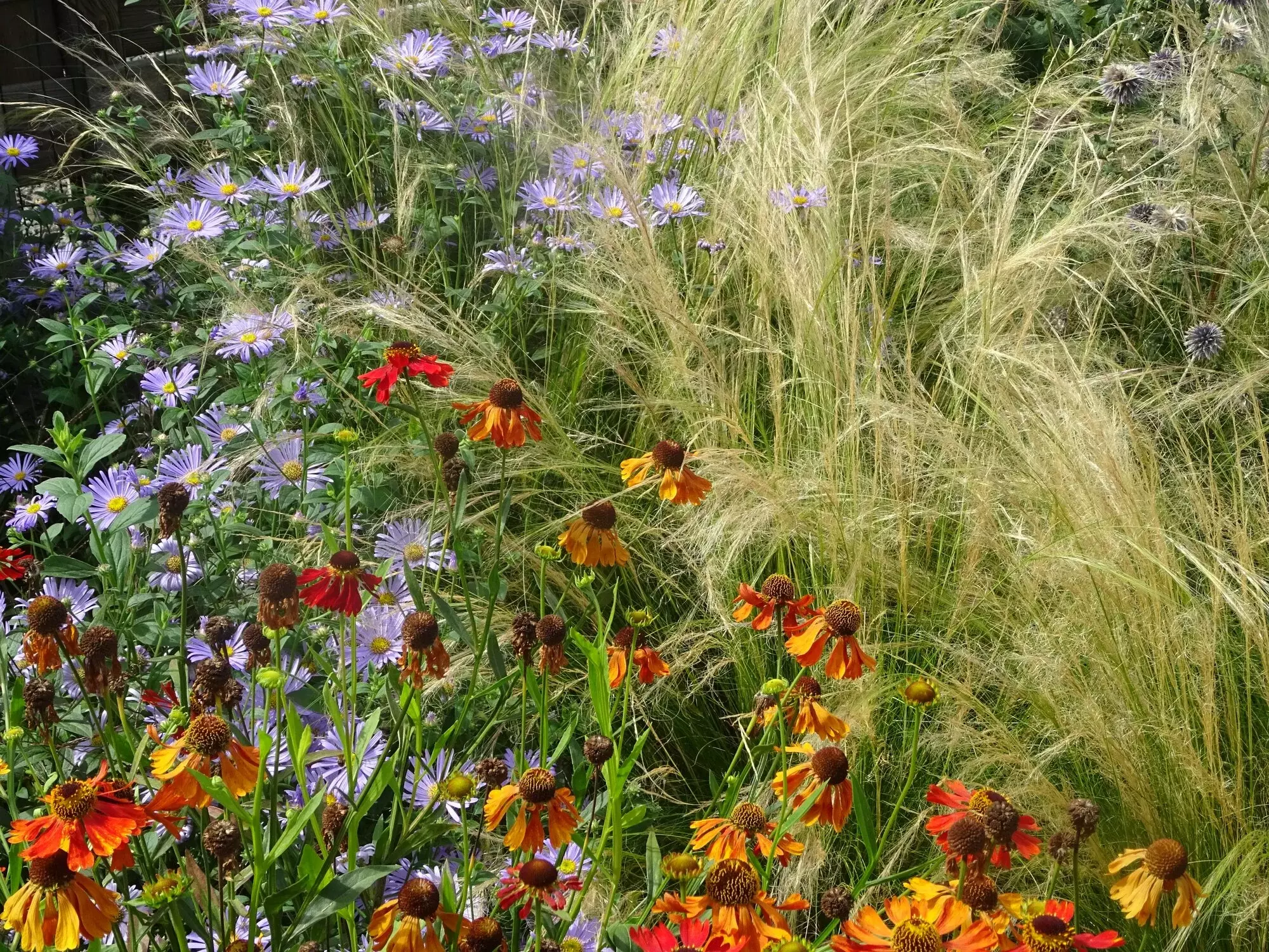 Julian's Garden Design – foto 2