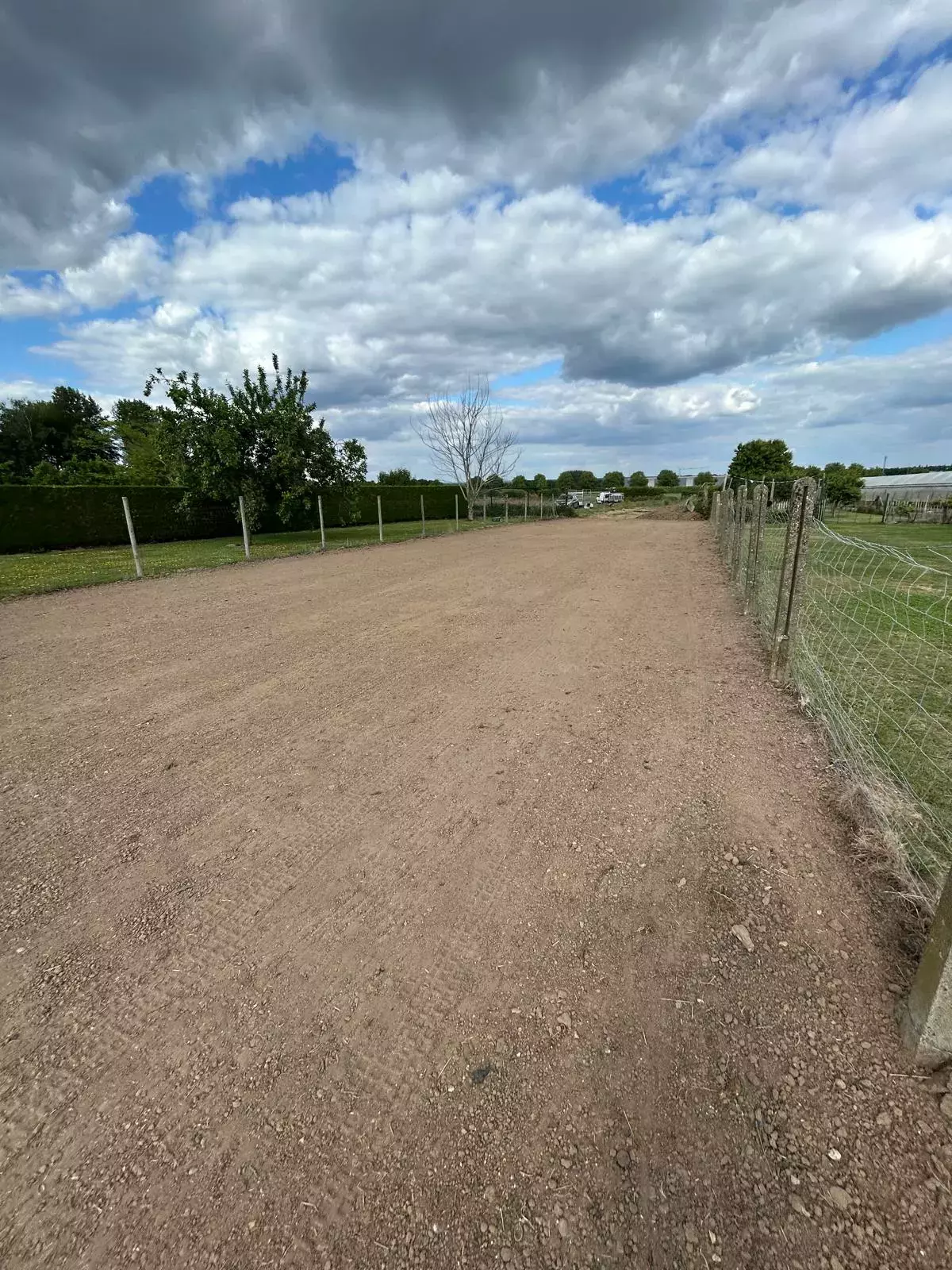 Uitgraven van stronken – foto 3