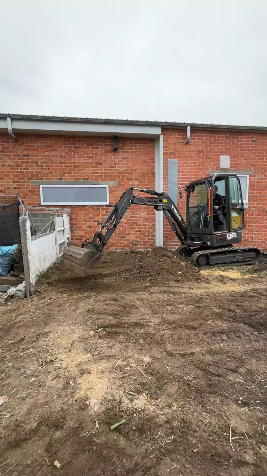 Uitgraven van stronken – foto 5