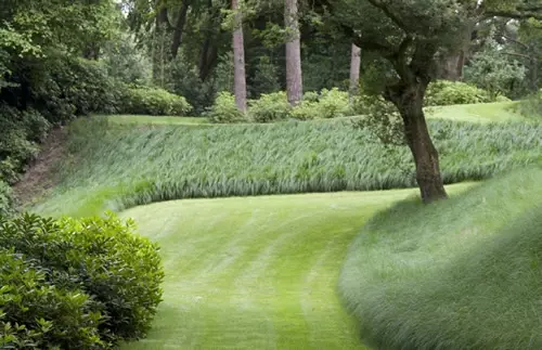 Tuinontwerp met advies Vormgevingsplan - Matenplan - Beplantingsplan – foto 3