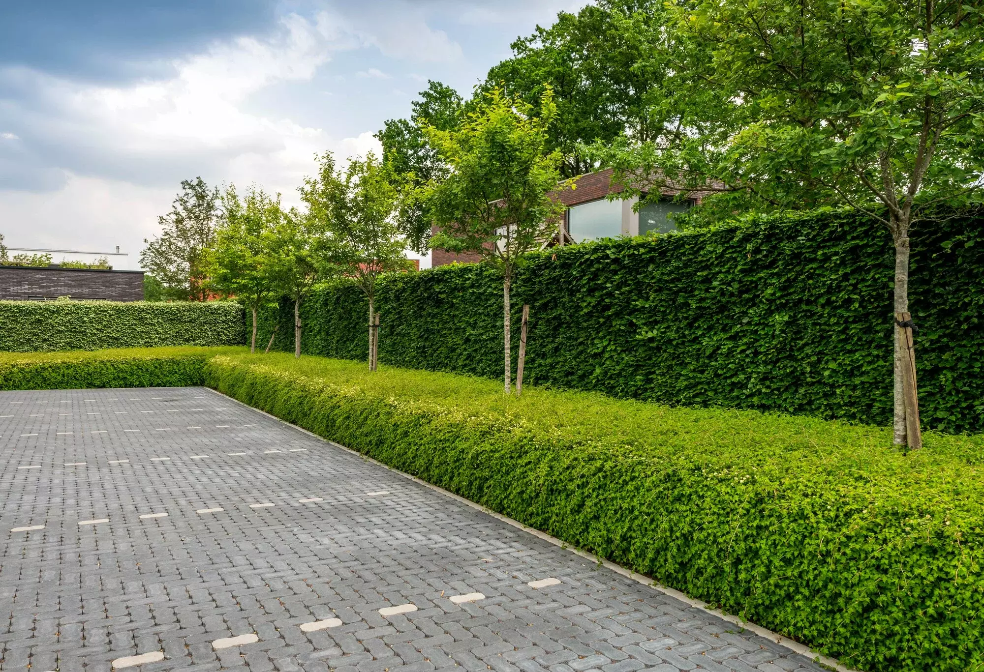Privé tuin Tuinen Verrezen – foto 2