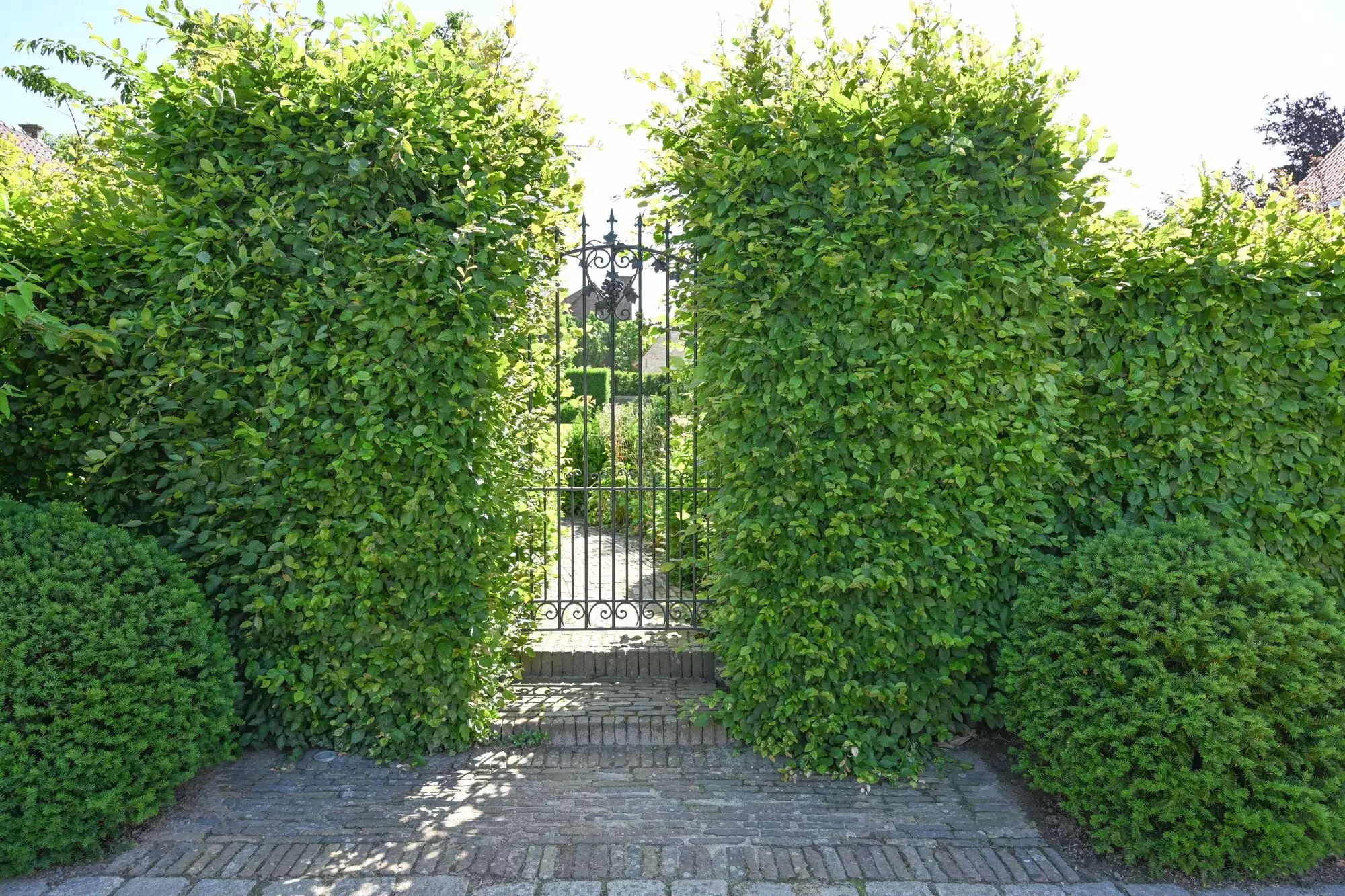 Cottage tuin met weelderig gazon en klassieke haagstructuren, perfect onderhouden – foto 1