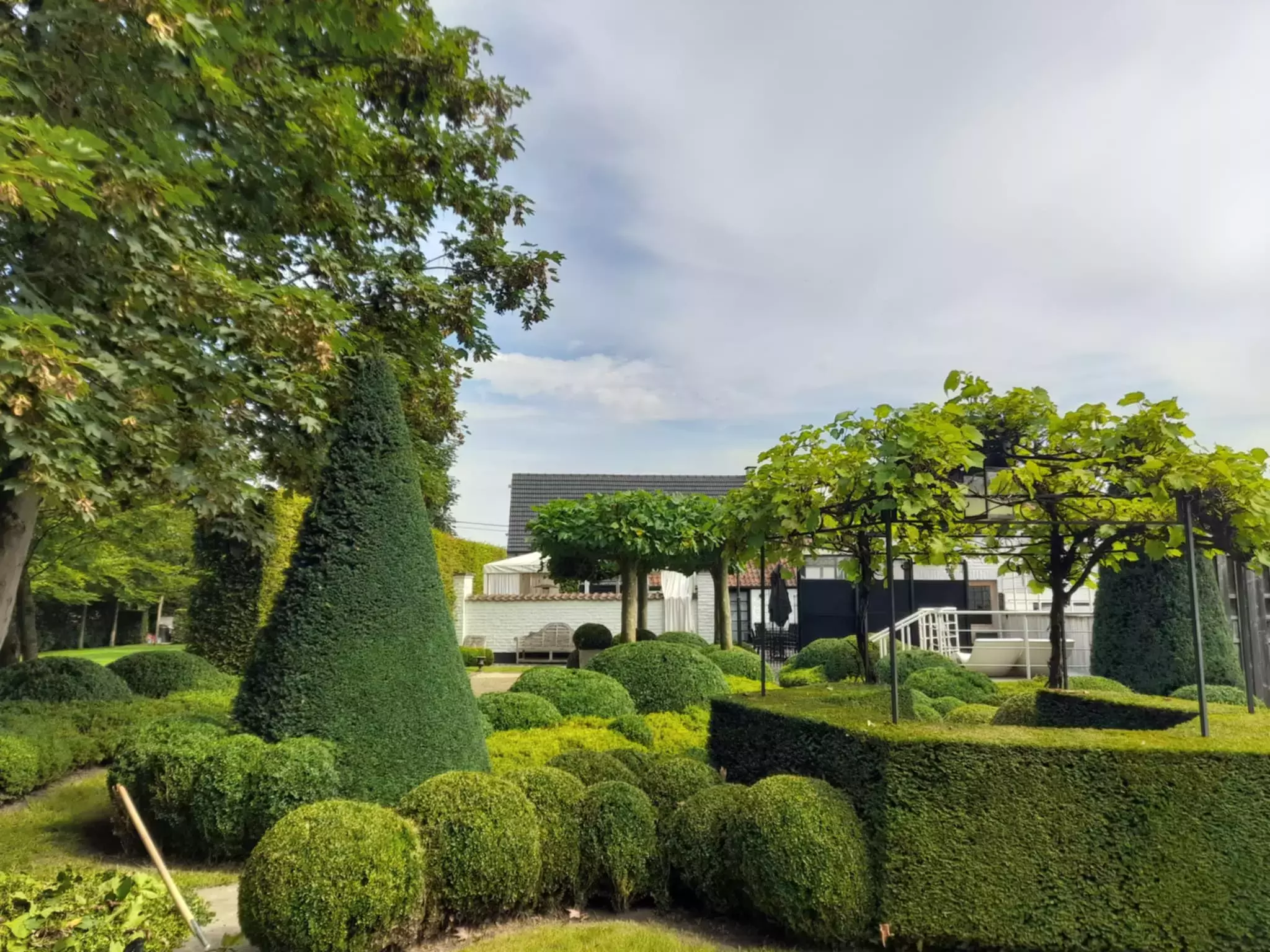 Vormsnoei in een klassieke tuin – foto 1